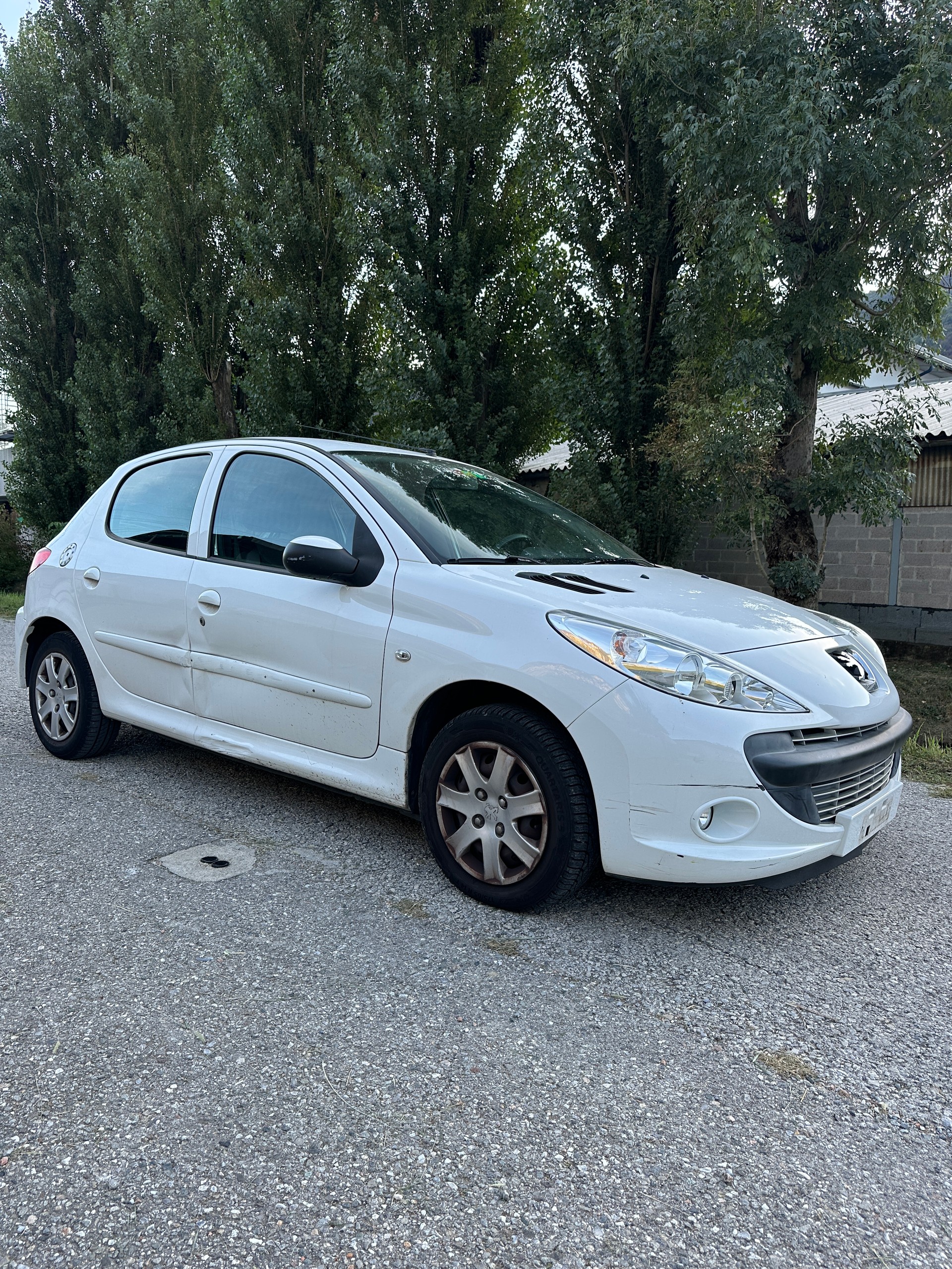 PEUGEOT 206+ 1.4 Trendy-image-1
