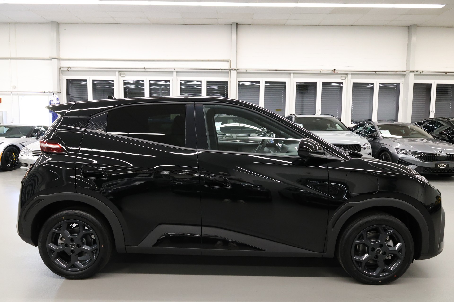 BYD Dolphin Surf Comfort-image-7