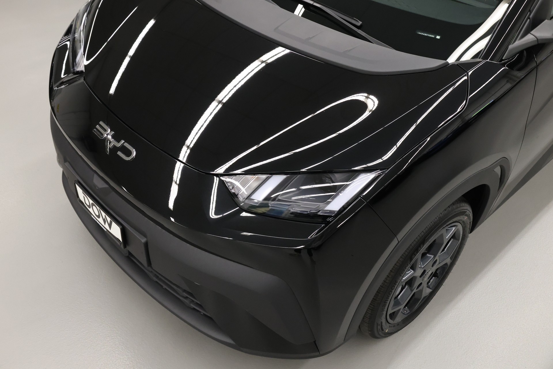 BYD Dolphin Surf Comfort-image-12