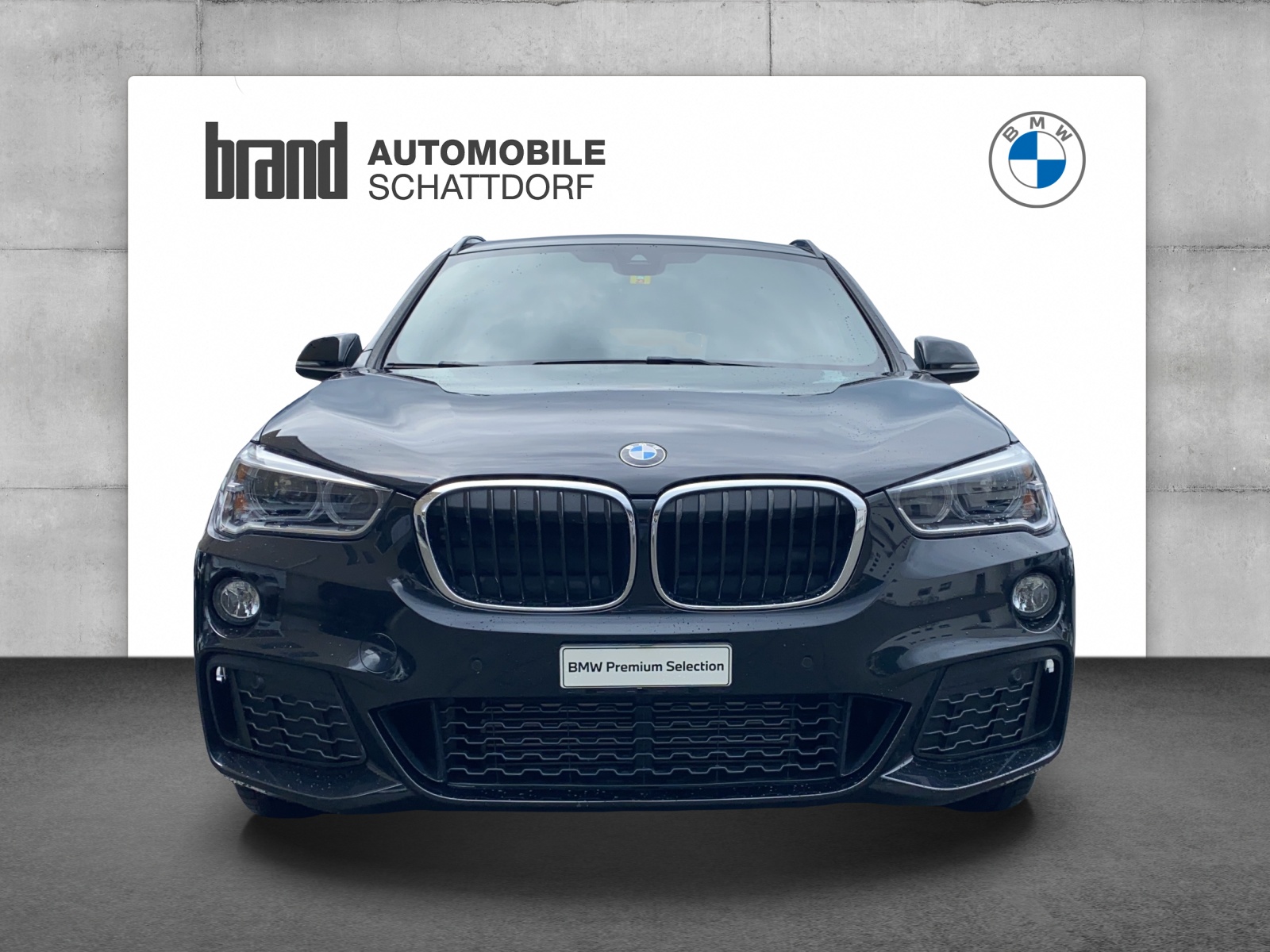 BMW X1 25d xDrive SAG-image-1