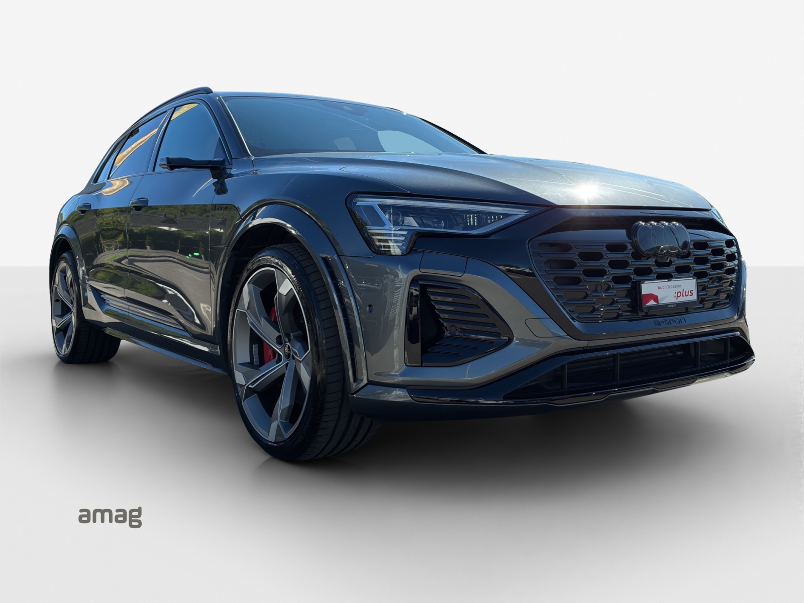 AUDI SQ8 e-tron quattro-image-6