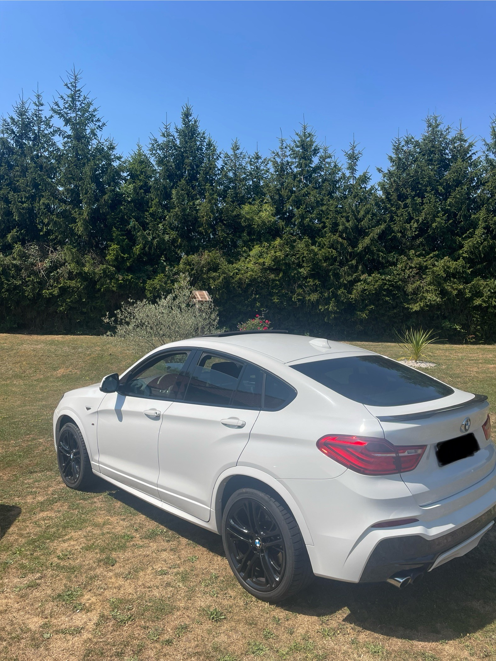 BMW 30d xDrive SAG-image-2