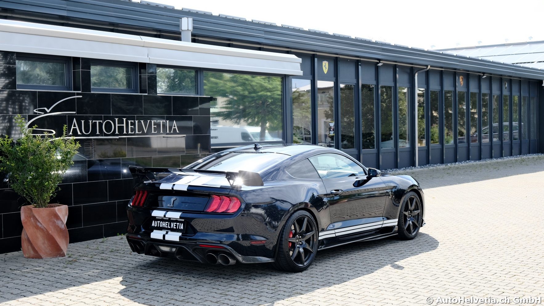 FORD Mustang Shelby GT 500 - Carbon Fiber Track Pack Predator GT500-image-22