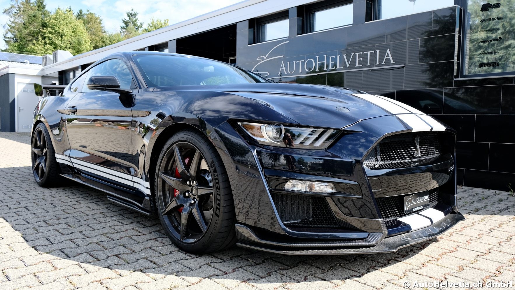 FORD Mustang Shelby GT 500 - Carbon Fiber Track Pack Predator GT500-image-1