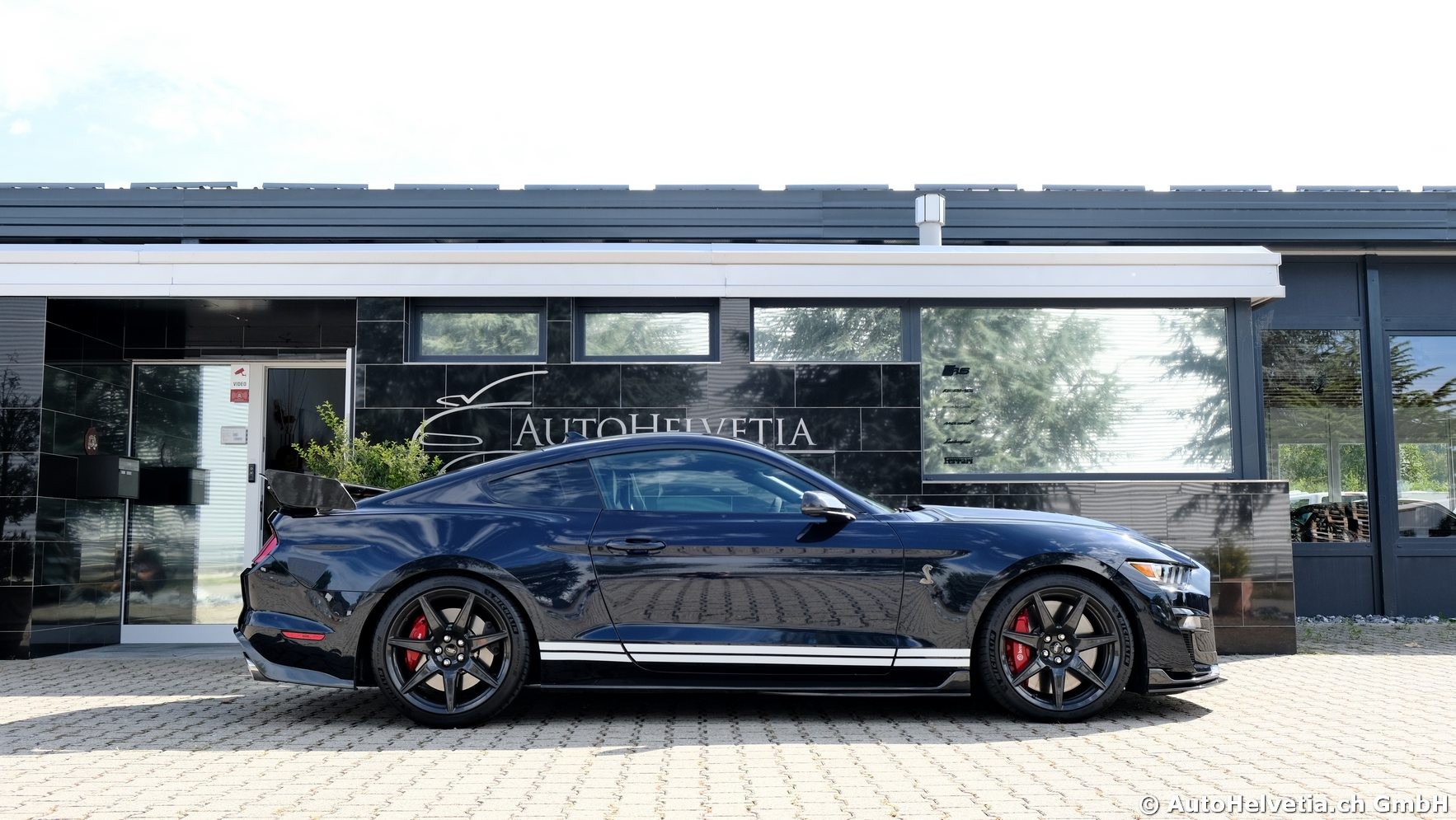 FORD Mustang Shelby GT 500 - Carbon Fiber Track Pack Predator GT500-image-3
