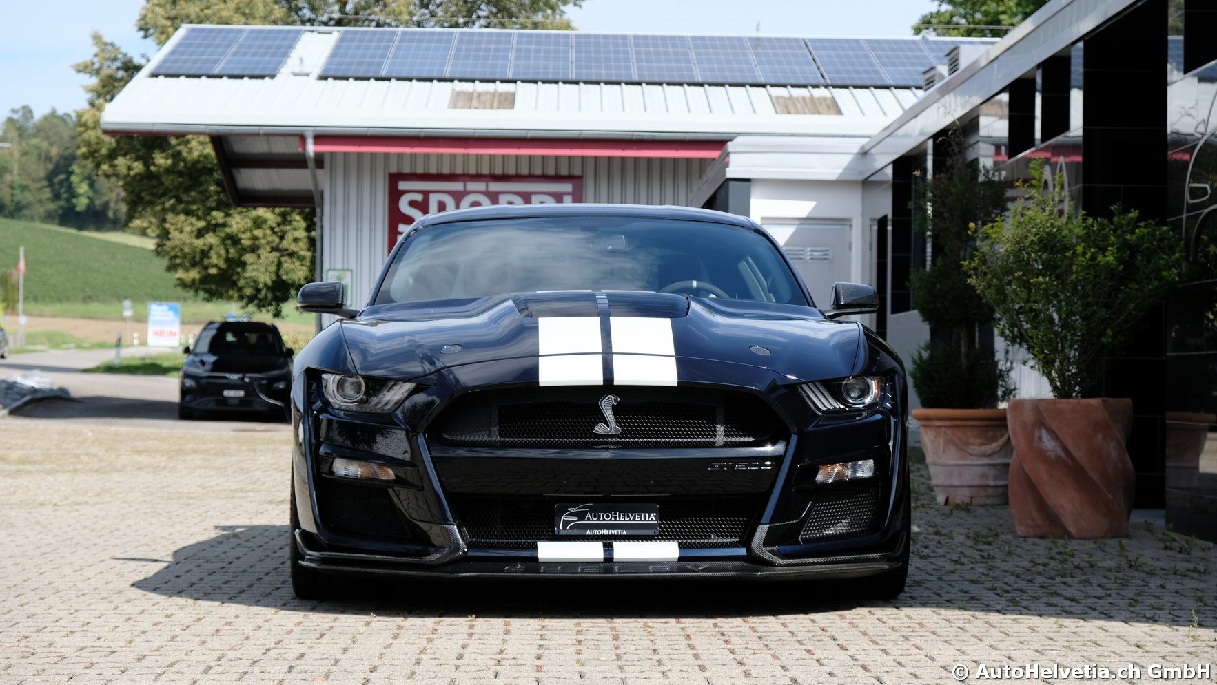FORD Mustang Shelby GT 500 - Carbon Fiber Track Pack Predator GT500-image-2