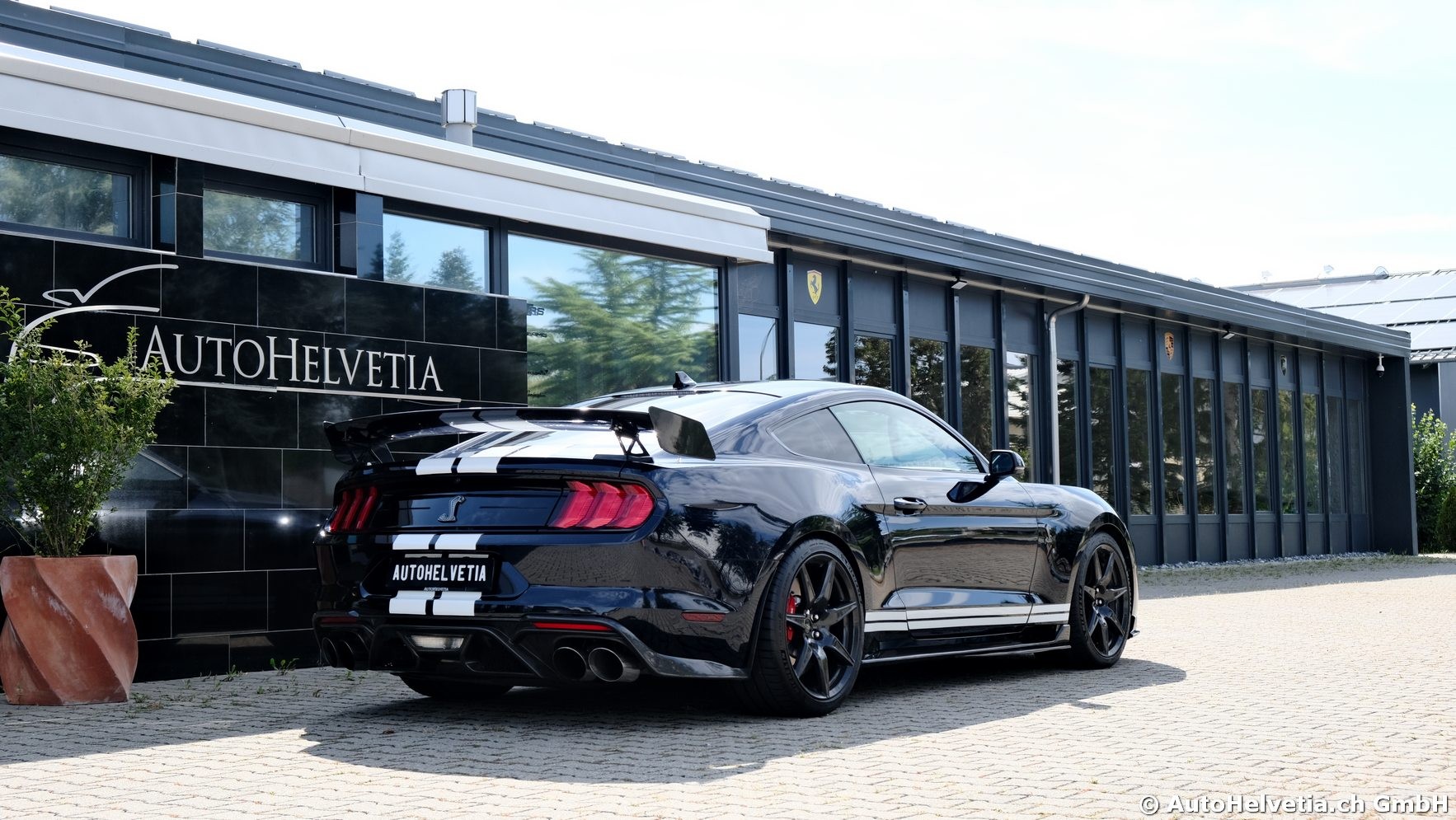 FORD Mustang Shelby GT 500 - Carbon Fiber Track Pack Predator GT500-image-4