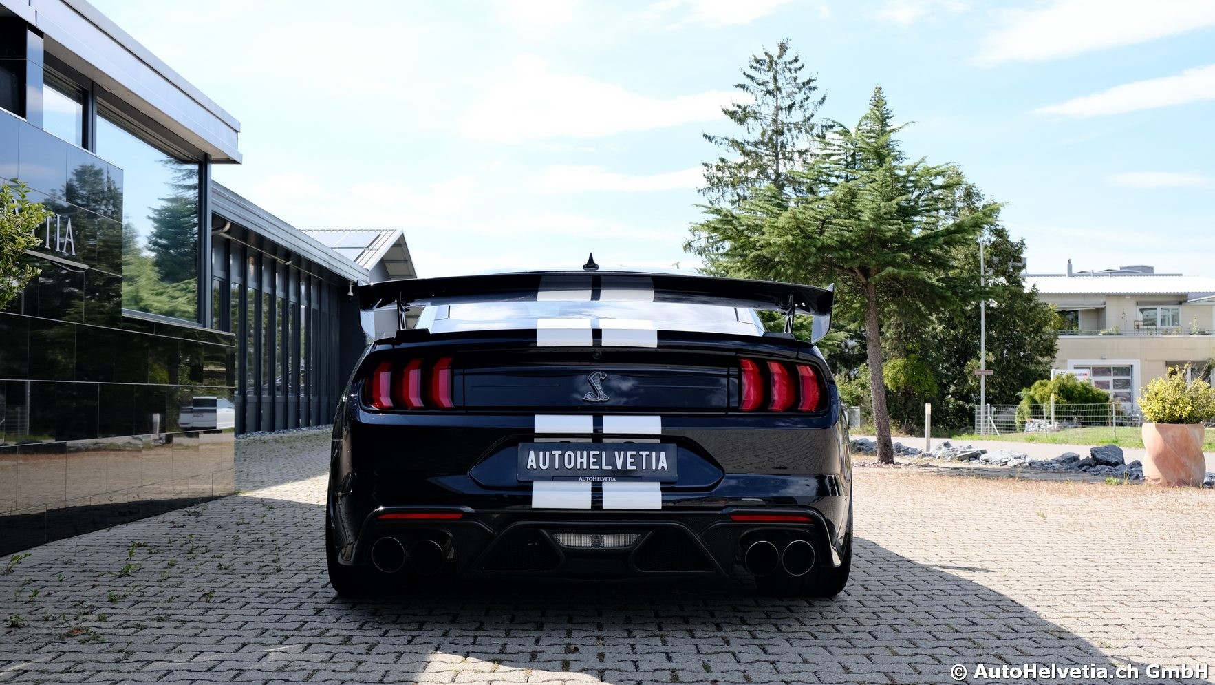 FORD Mustang Shelby GT 500 - Carbon Fiber Track Pack Predator GT500-image-6