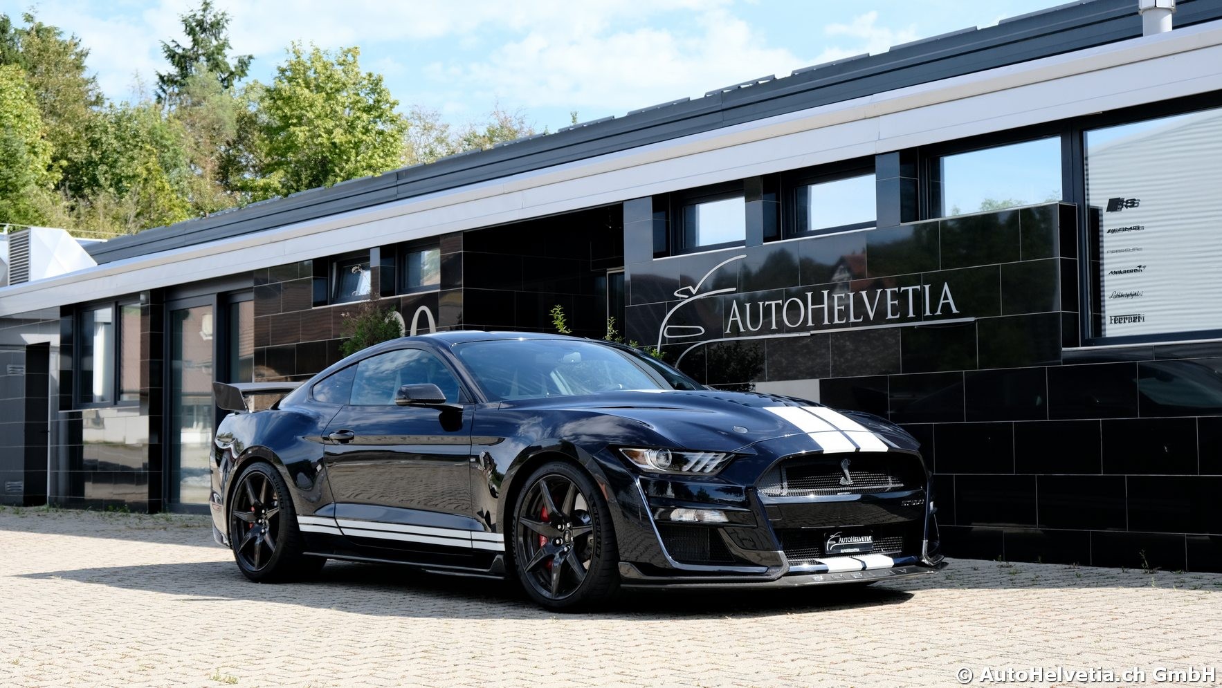 FORD Mustang Shelby GT 500 - Carbon Fiber Track Pack Predator GT500-image-0