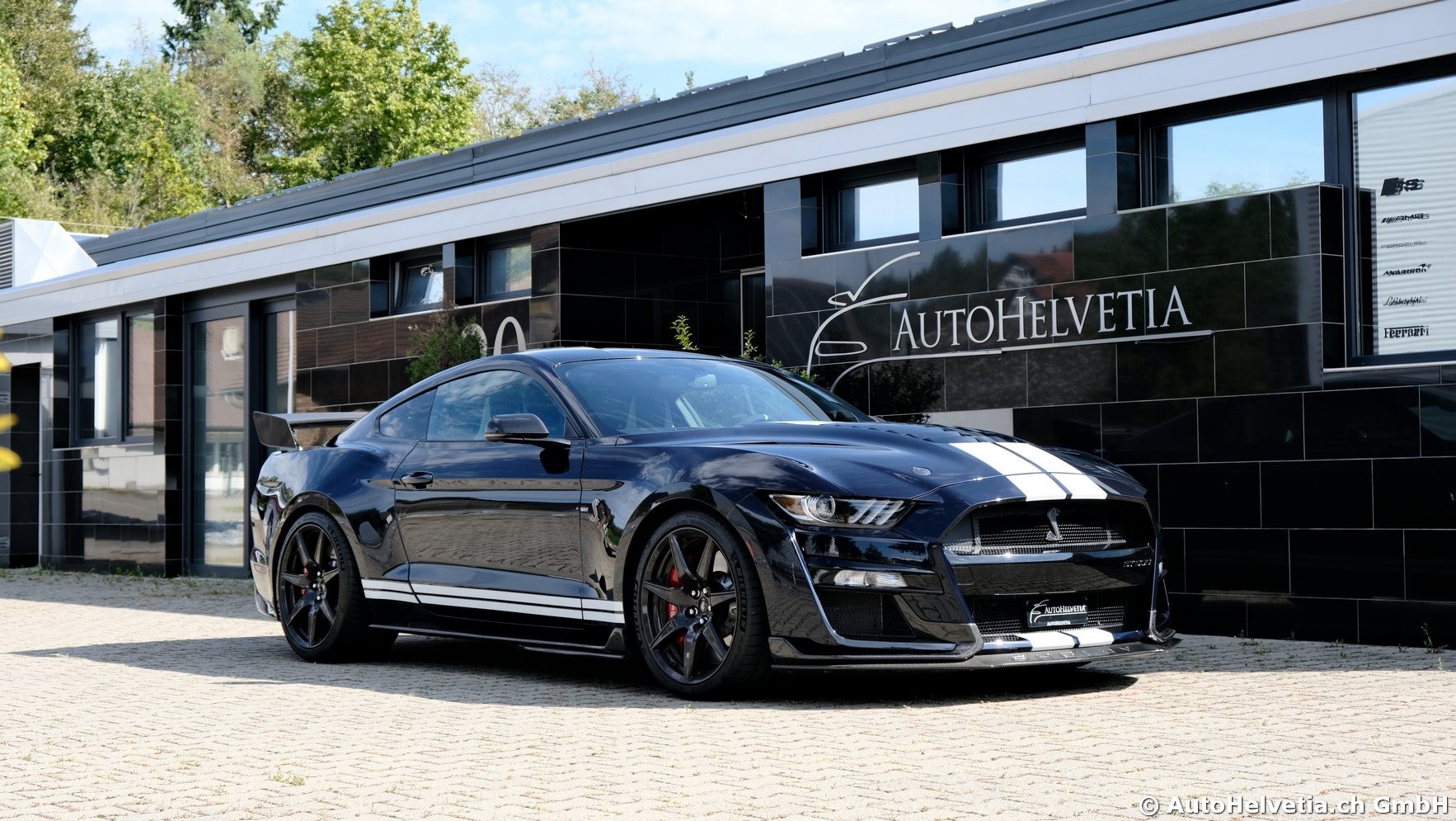 FORD Mustang Shelby GT 500 - Carbon Fiber Track Pack Predator GT500-image-23
