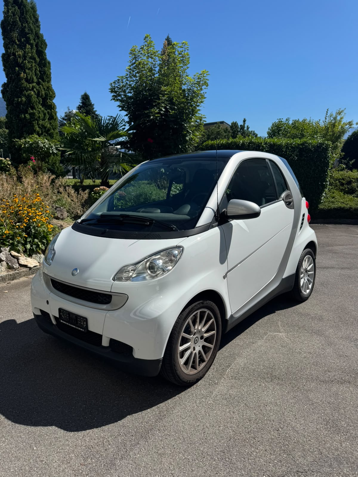 SMART 1000 71 Passion mhd-image-0