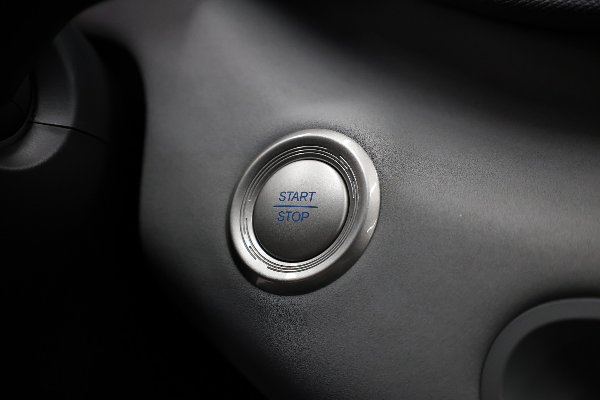 BYD Dolphin Surf Comfort-image-28