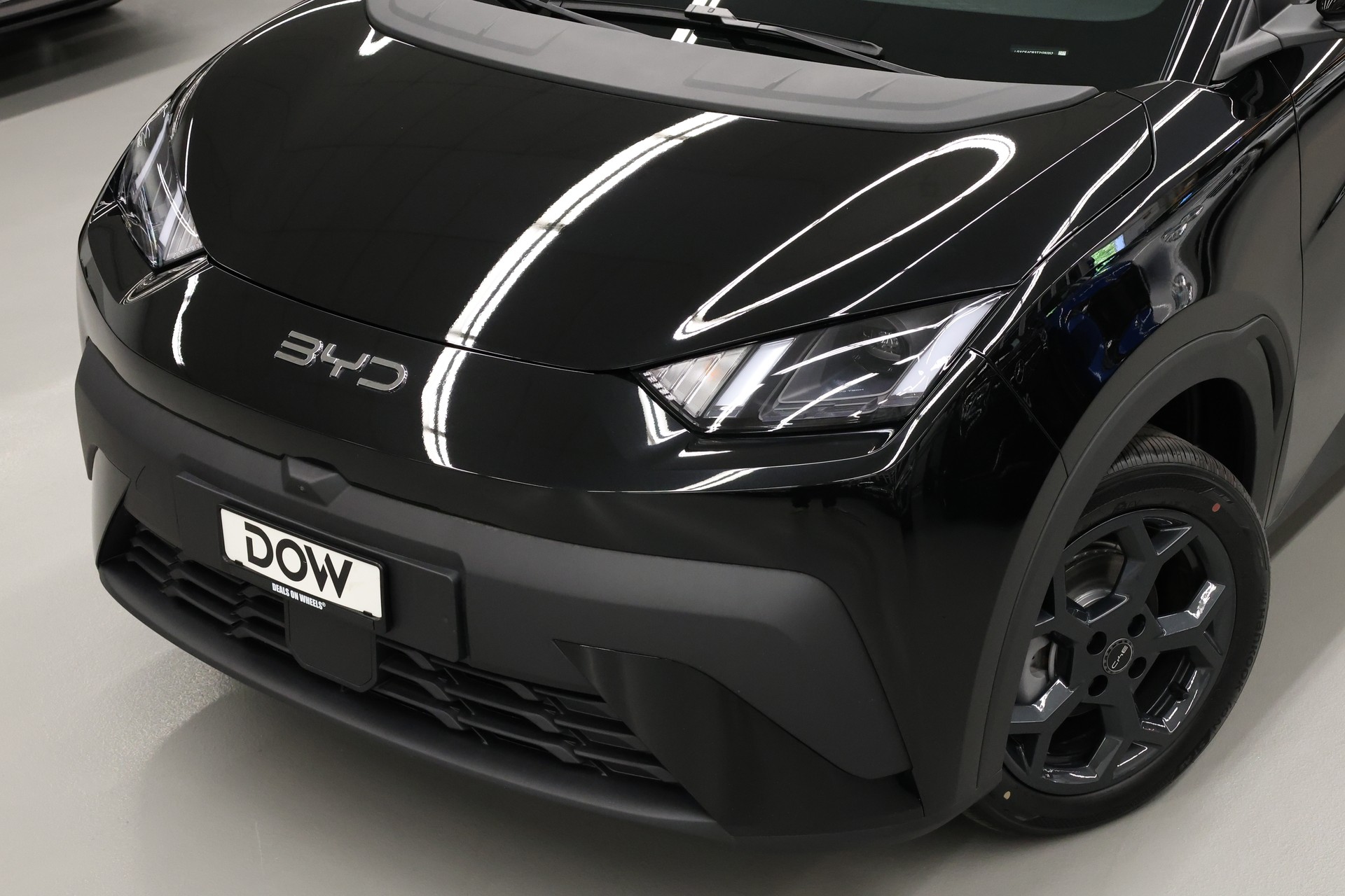 BYD Dolphin Surf Comfort-image-9
