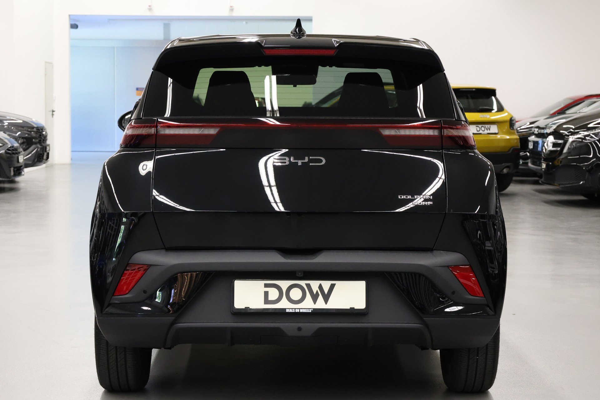 BYD Dolphin Surf Comfort-image-6