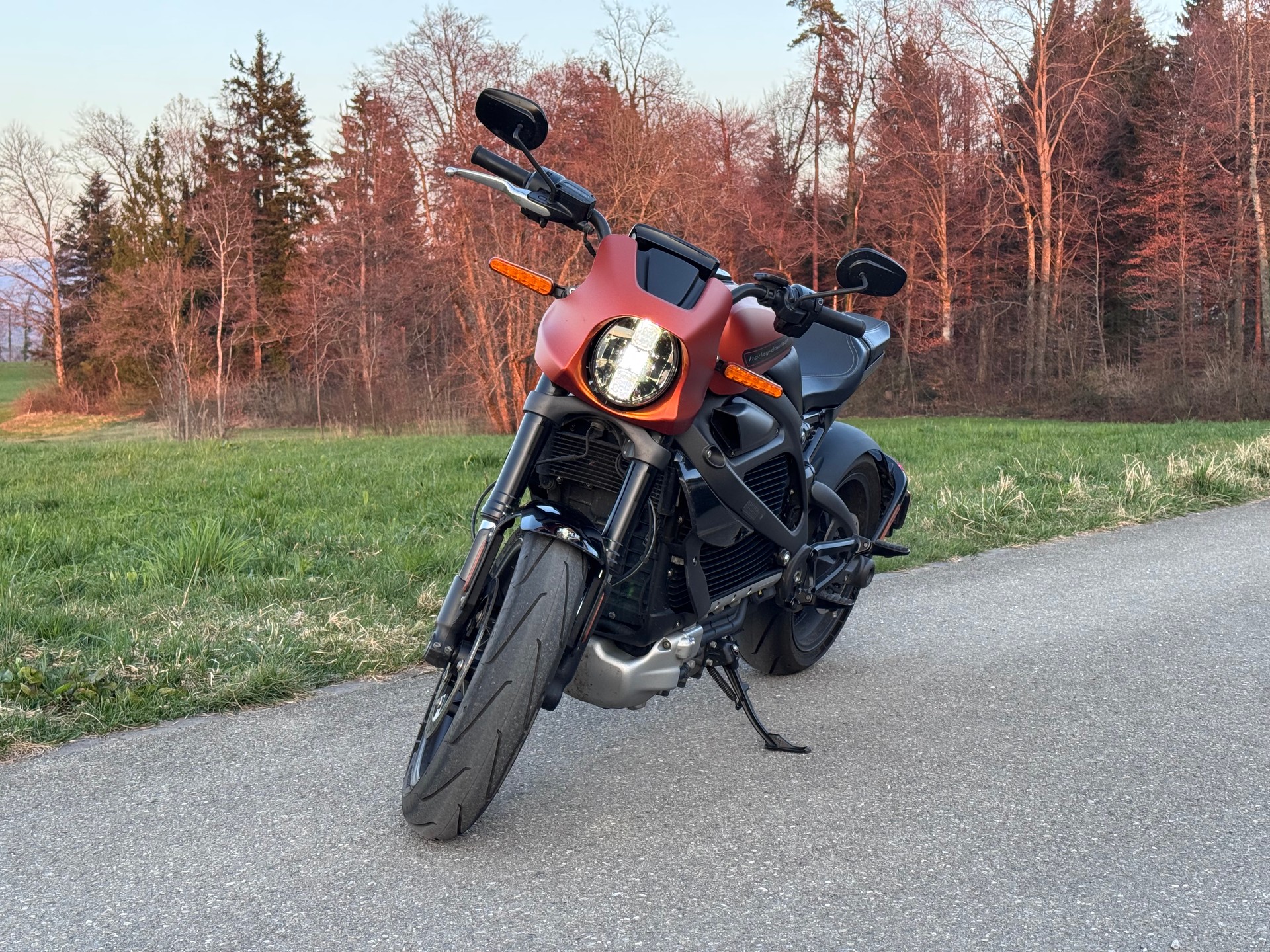 HARLEY-DAVIDSON Live Wire