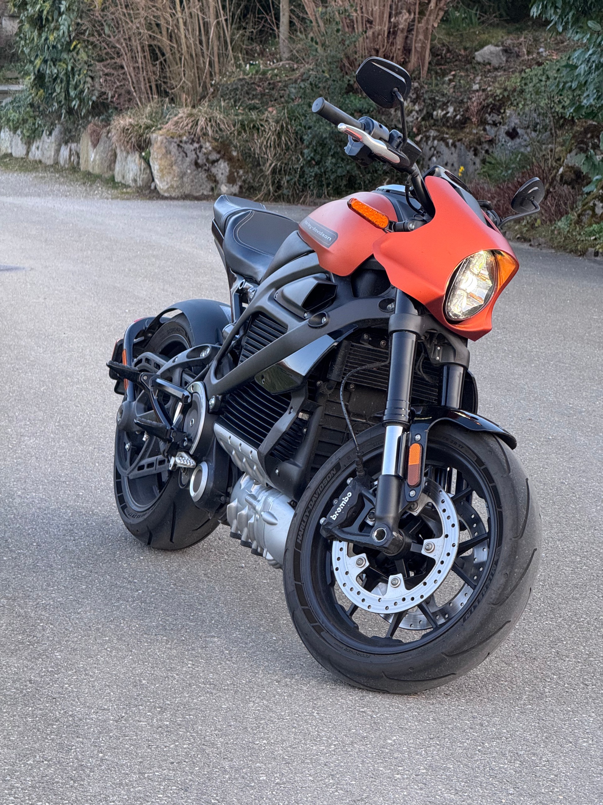 HARLEY-DAVIDSON Live Wire-image-2