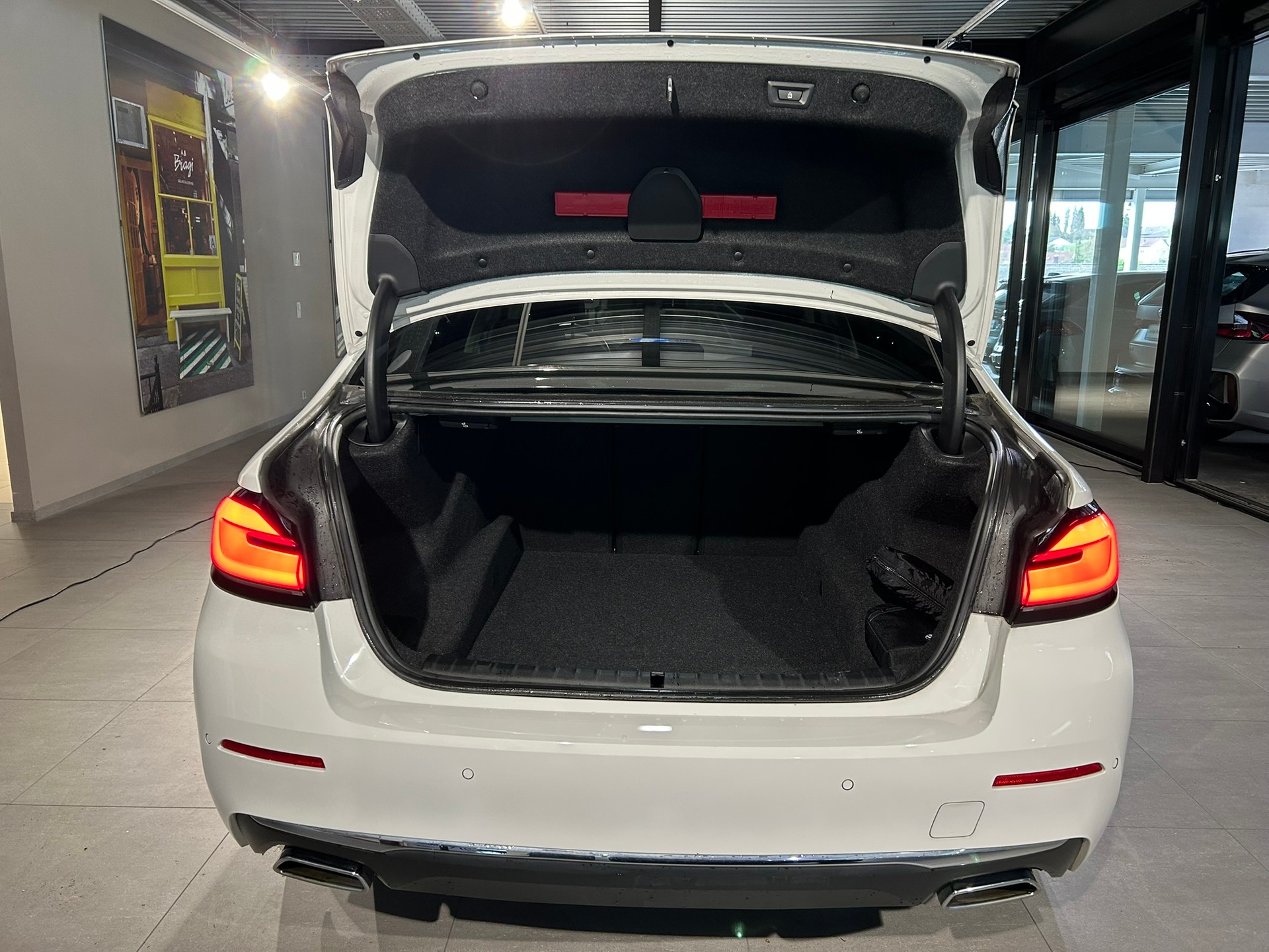 BMW 520d xDrive 48V Luxury Line Steptronic-image-12
