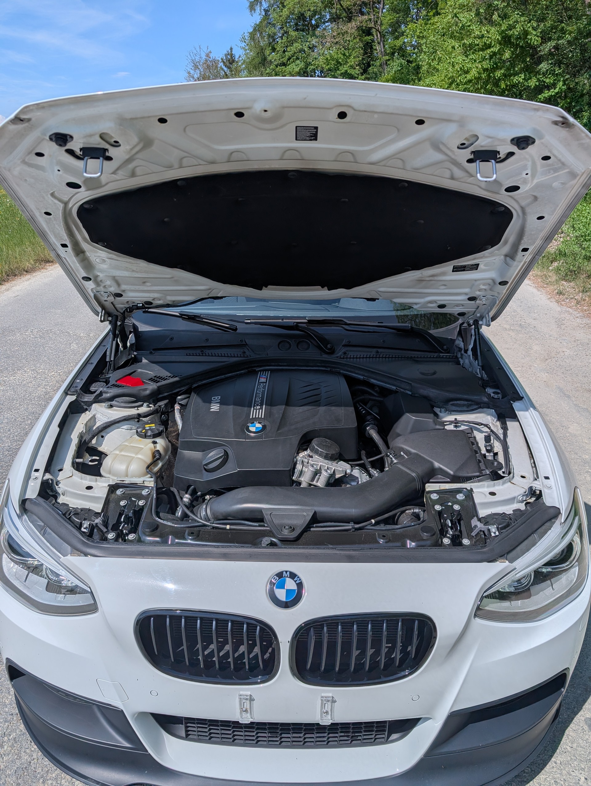 BMW M135i xDrive-image-6