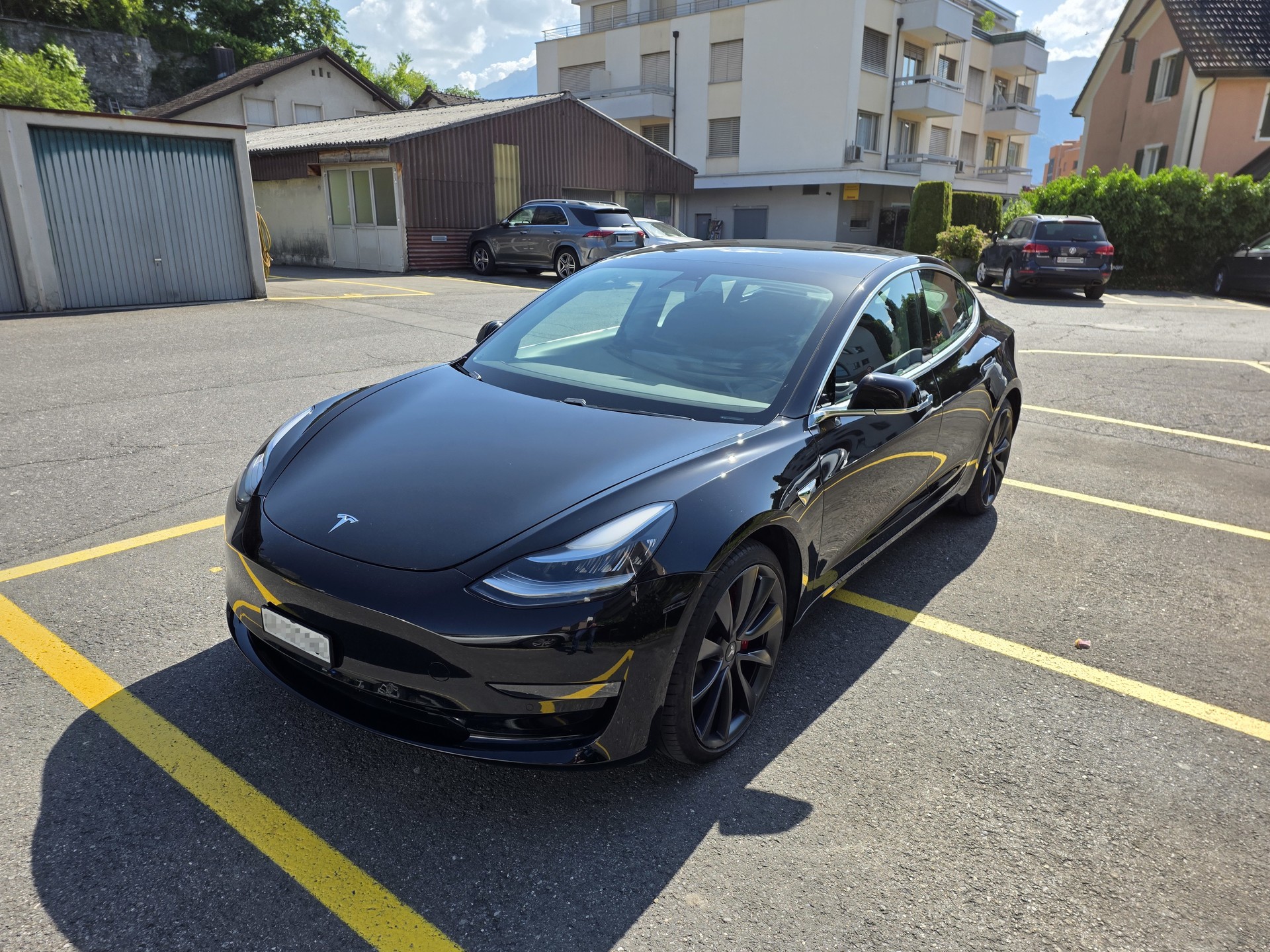 TESLA Performance mit FSD und Homelink-image-0