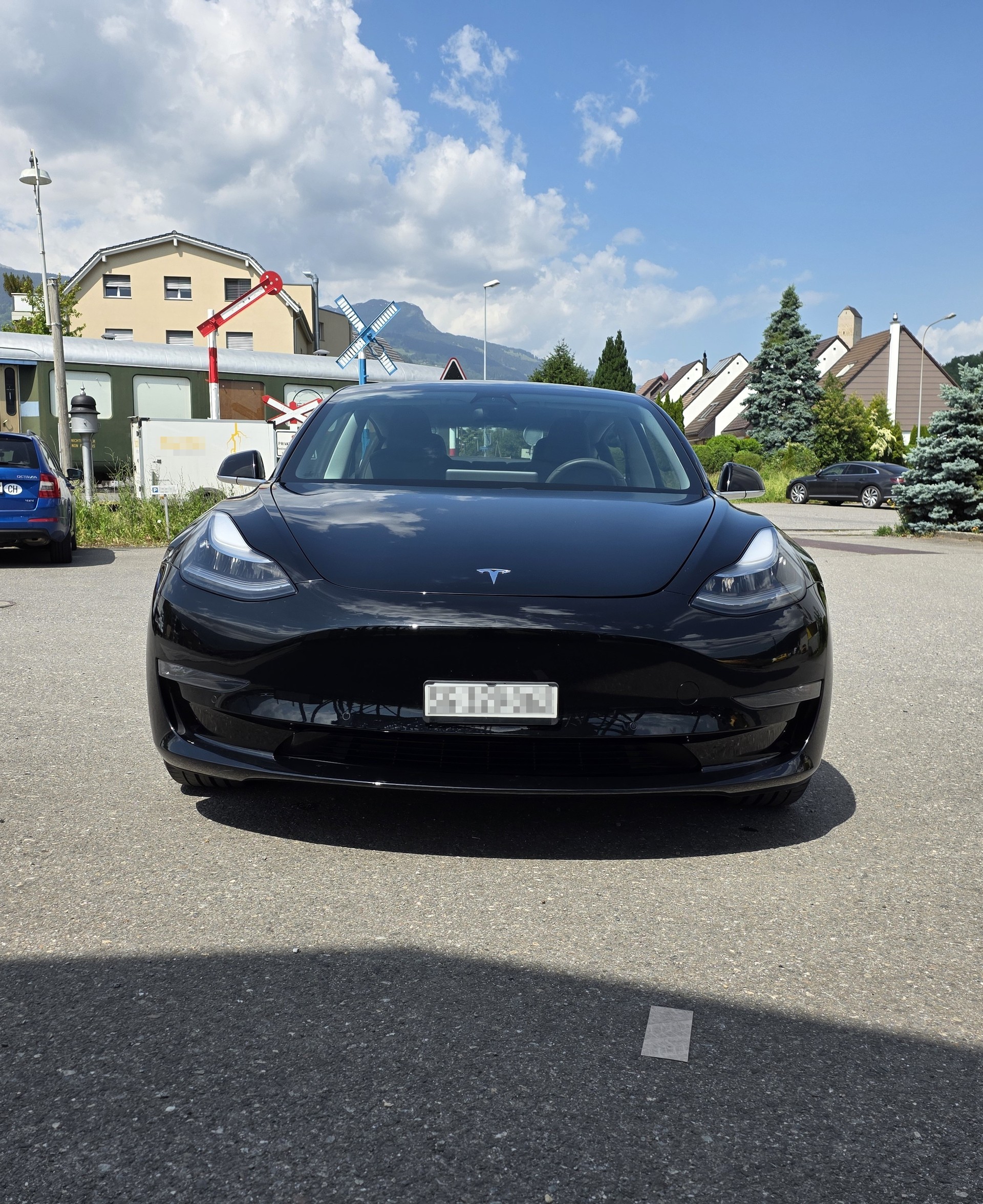 TESLA Performance mit FSD und Homelink-image-4