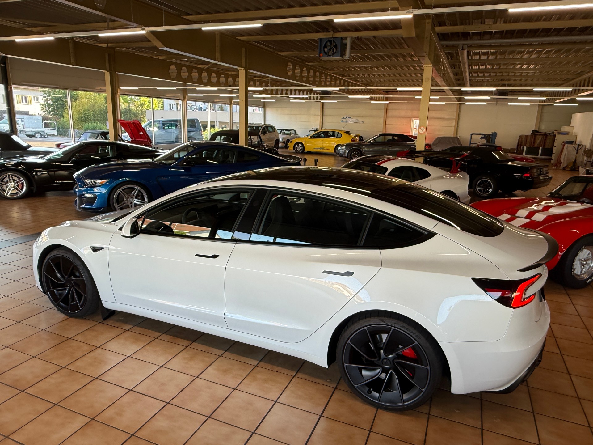 TESLA Performance Highland-image-8