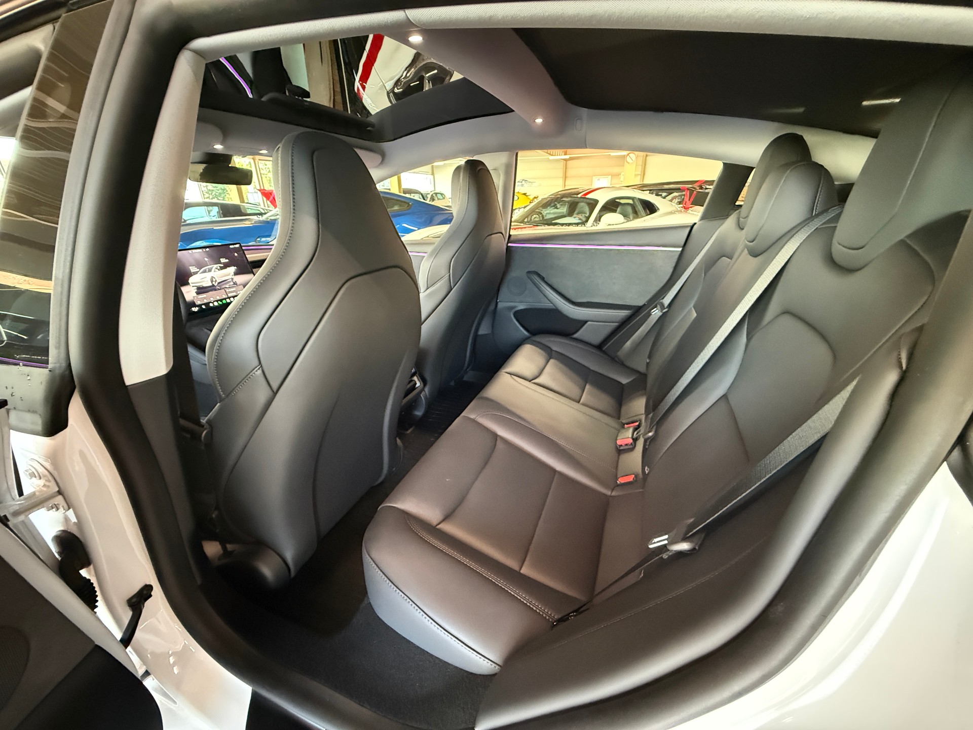 TESLA Performance Highland-image-11