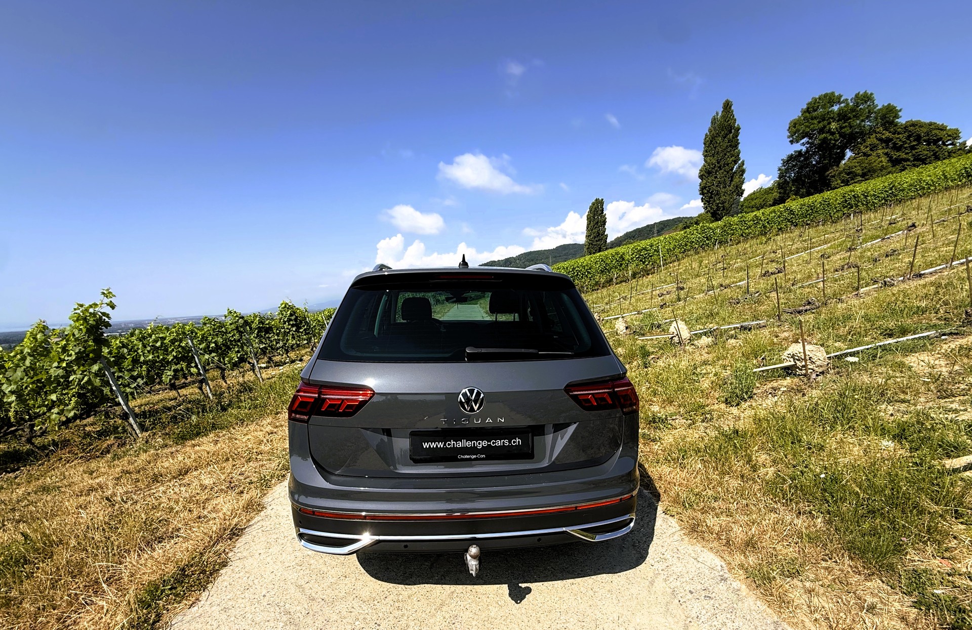 VW Tiguan 2.0 TDI SCR Elegance 4Motion DSG-image-6