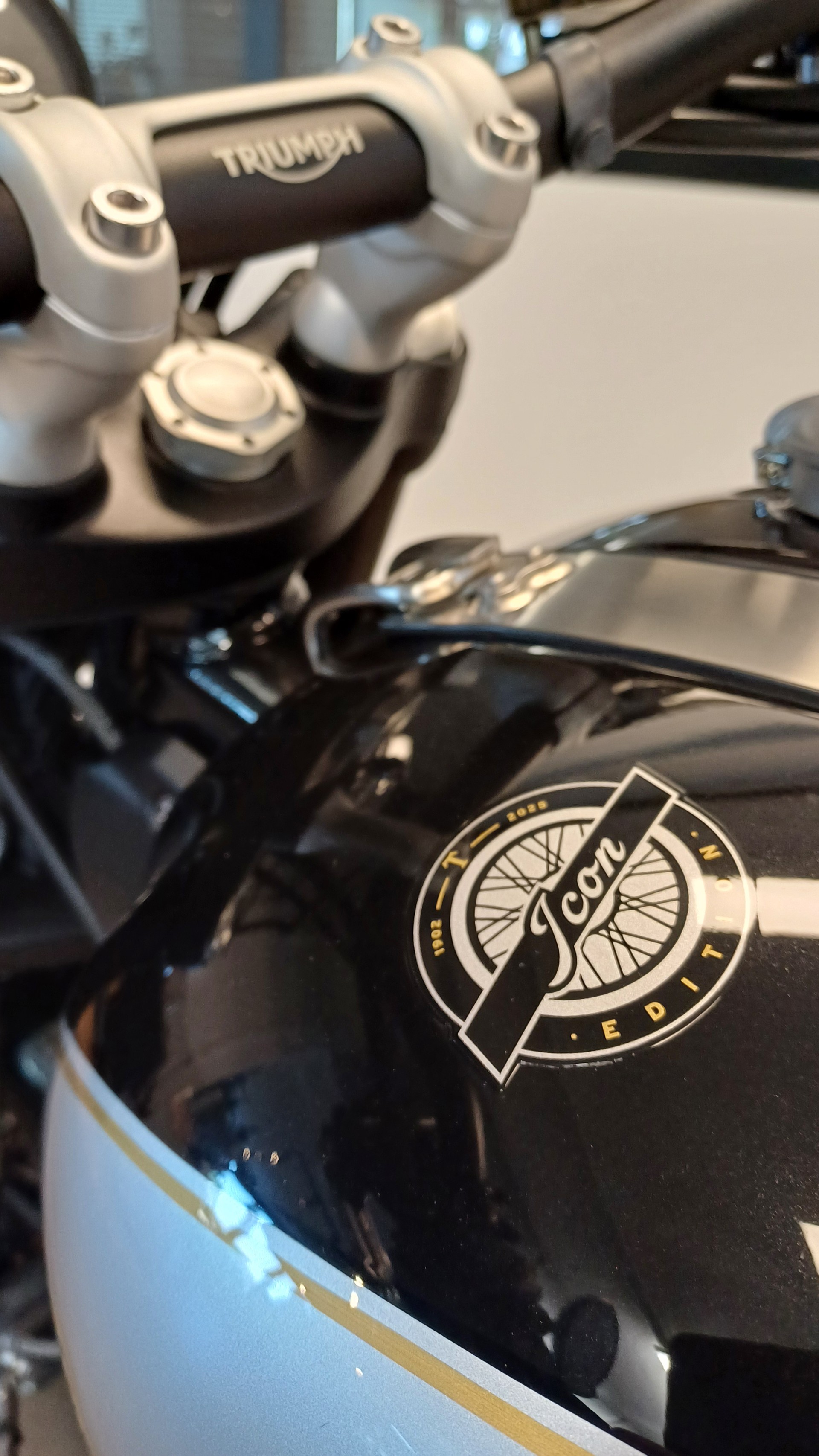 TRIUMPH Scrambler 1200 X Icon Edition-image-7