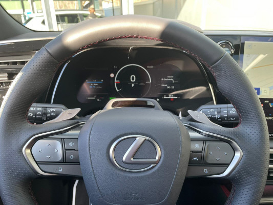 LEXUS RX 500h F Sport AWD-image-10