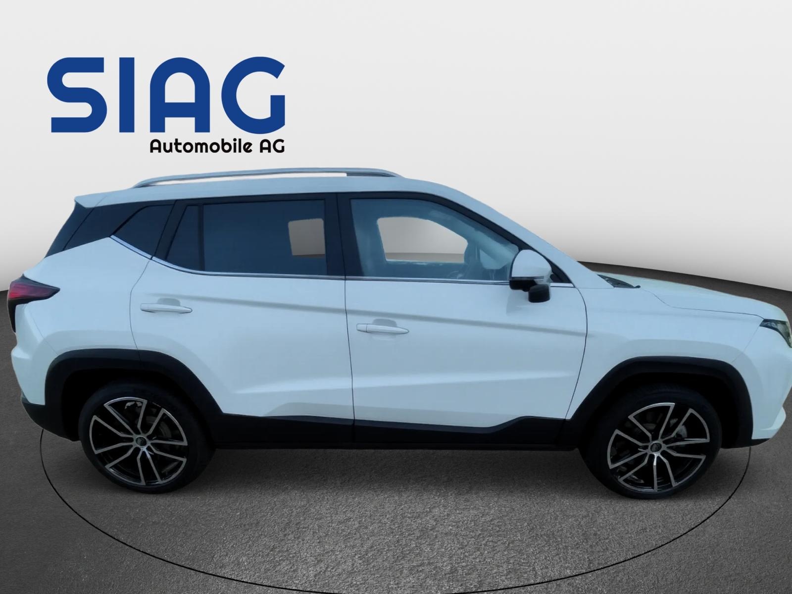 JAC e-JS4 Electric-image-5