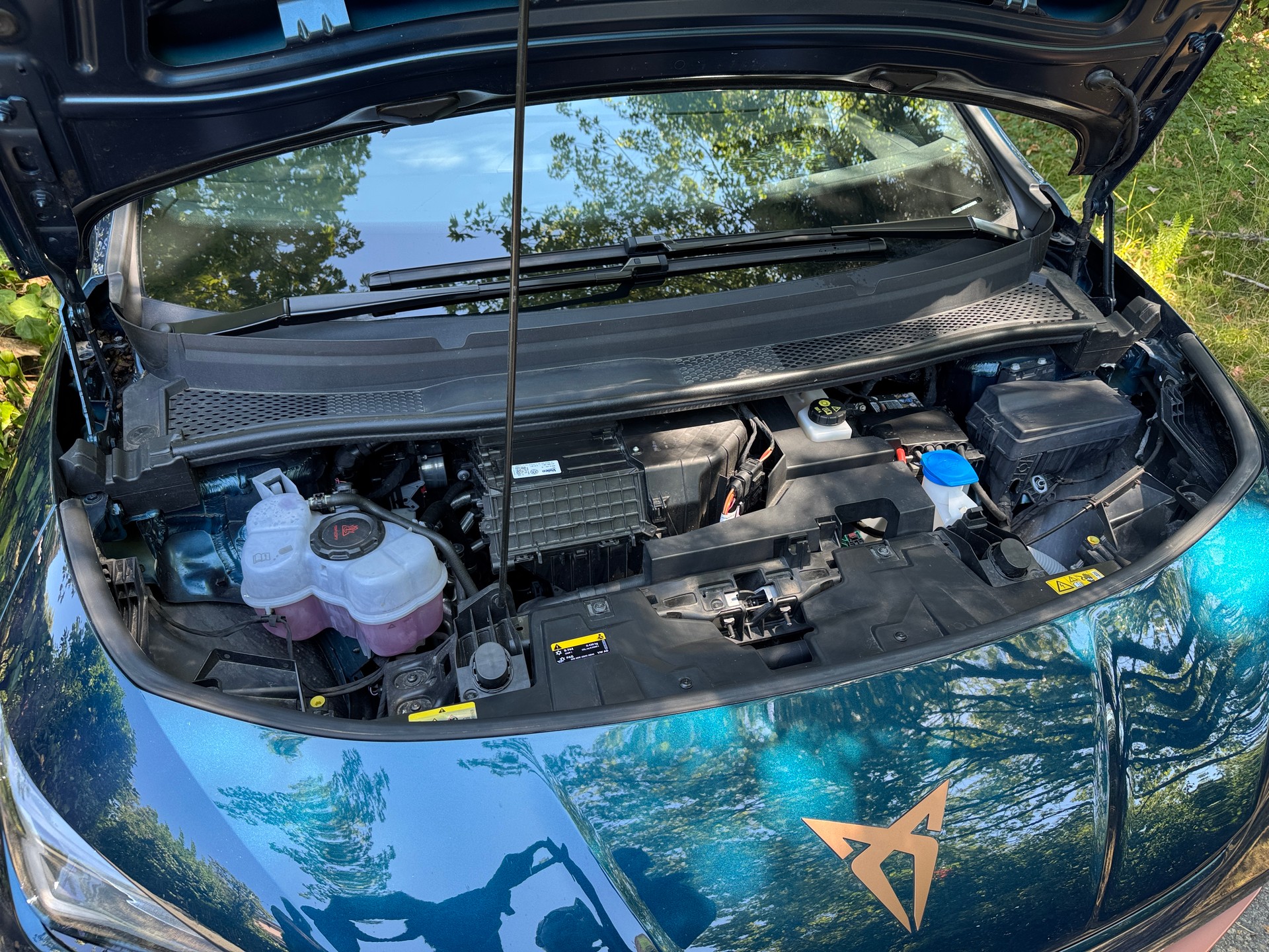 CUPRA Born 58 kWh-image-10