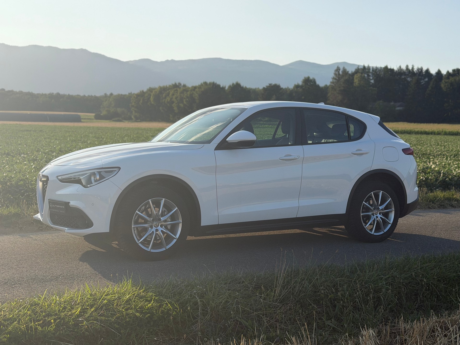 ALFA ROMEO Stelvio 2.2 JTDM Executive Q4 Automatic-image-10