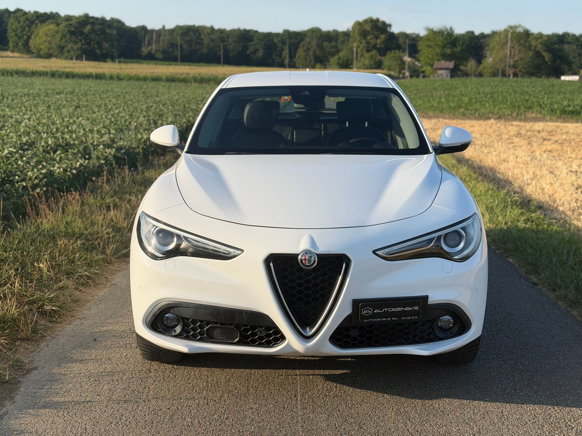 ALFA ROMEO Stelvio 2.2 JTDM Executive Q4 Automatic-image-1