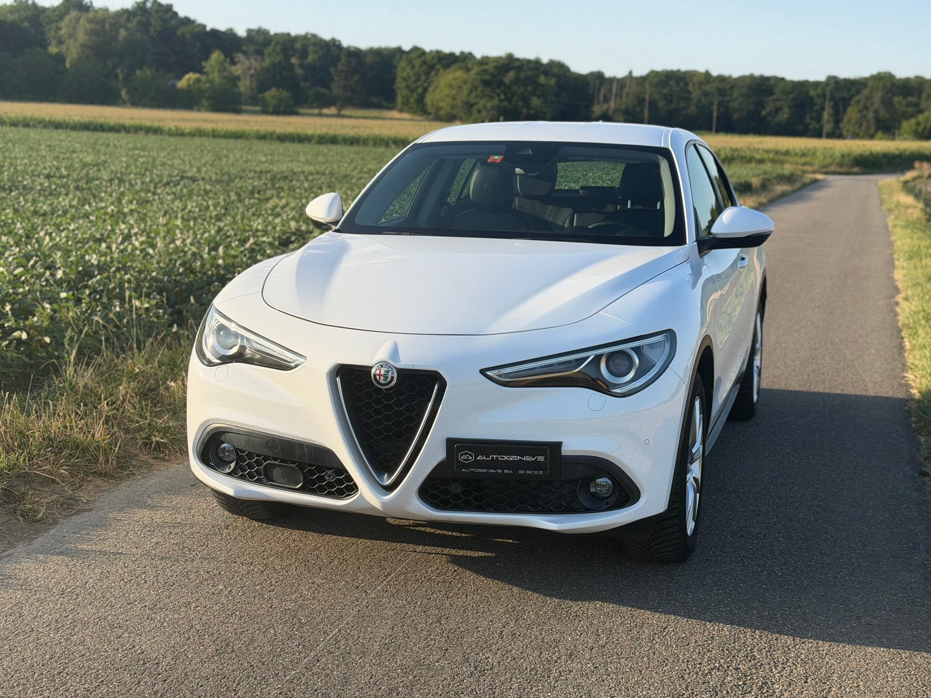 ALFA ROMEO Stelvio 2.2 JTDM Executive Q4 Automatic-image-0