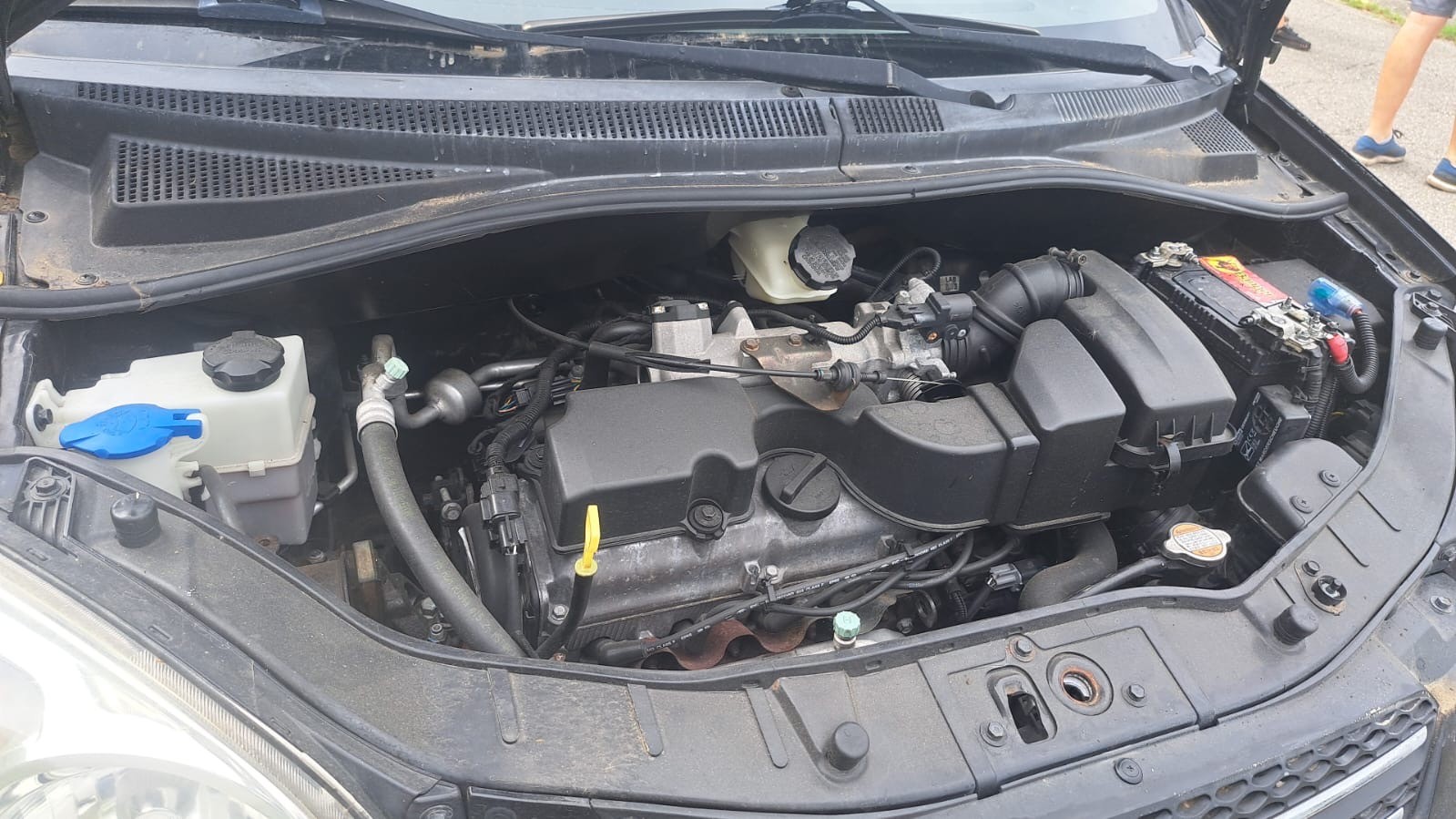 KIA Picanto 1.1 Style-image-6