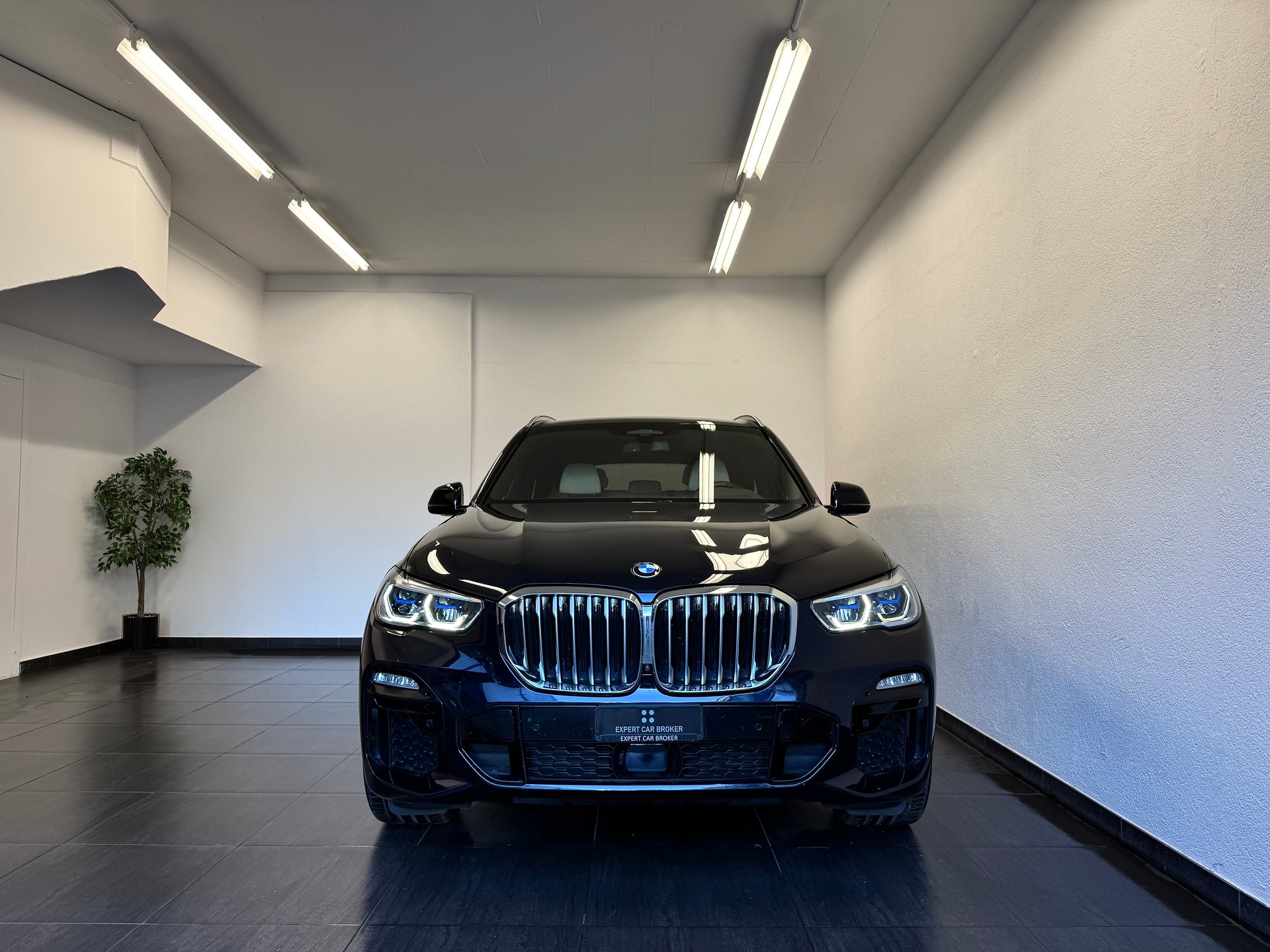 BMW X5 xDrive 40i Steptronic-showroom-element-1