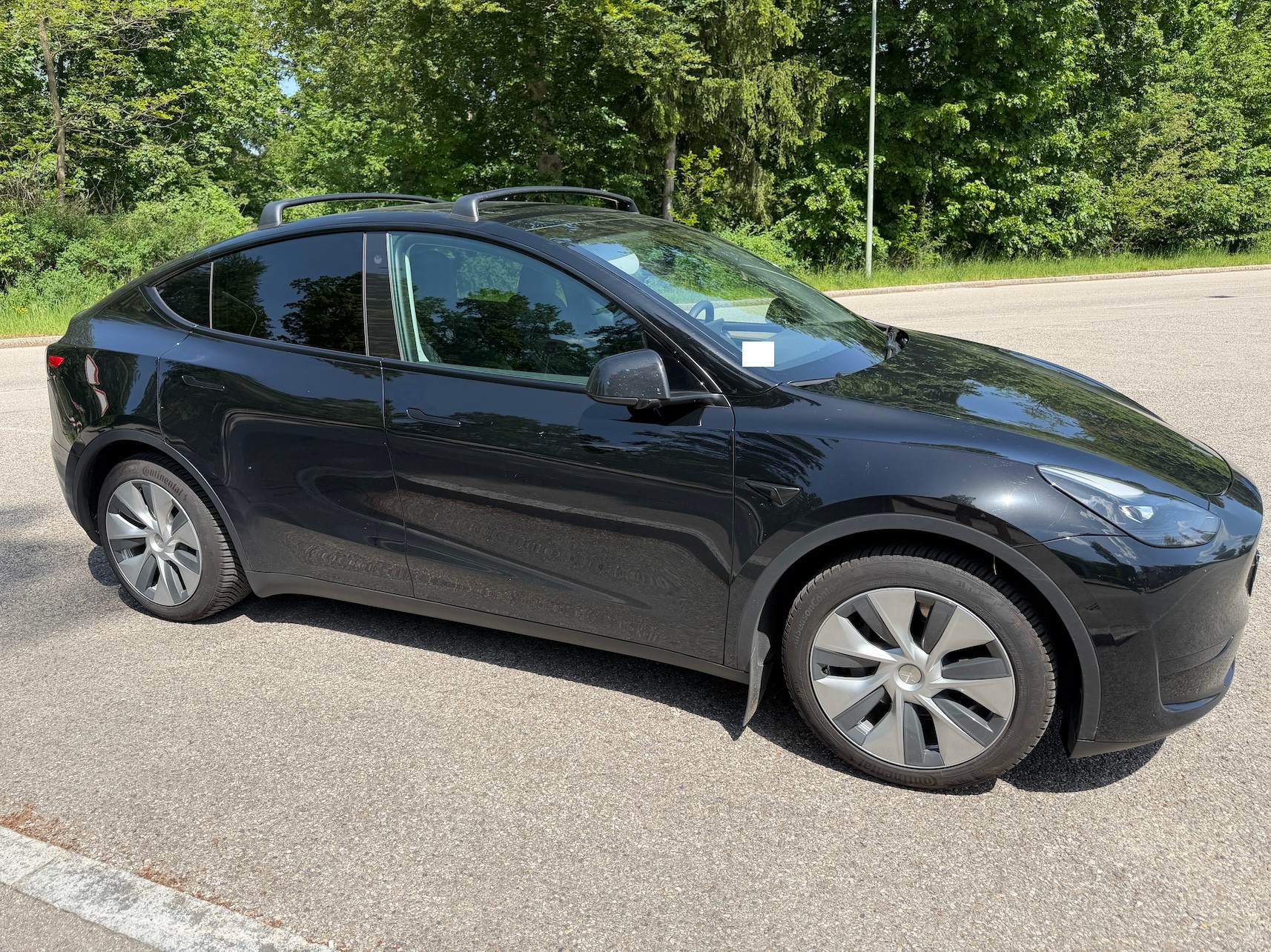 TESLA Basis-image-1