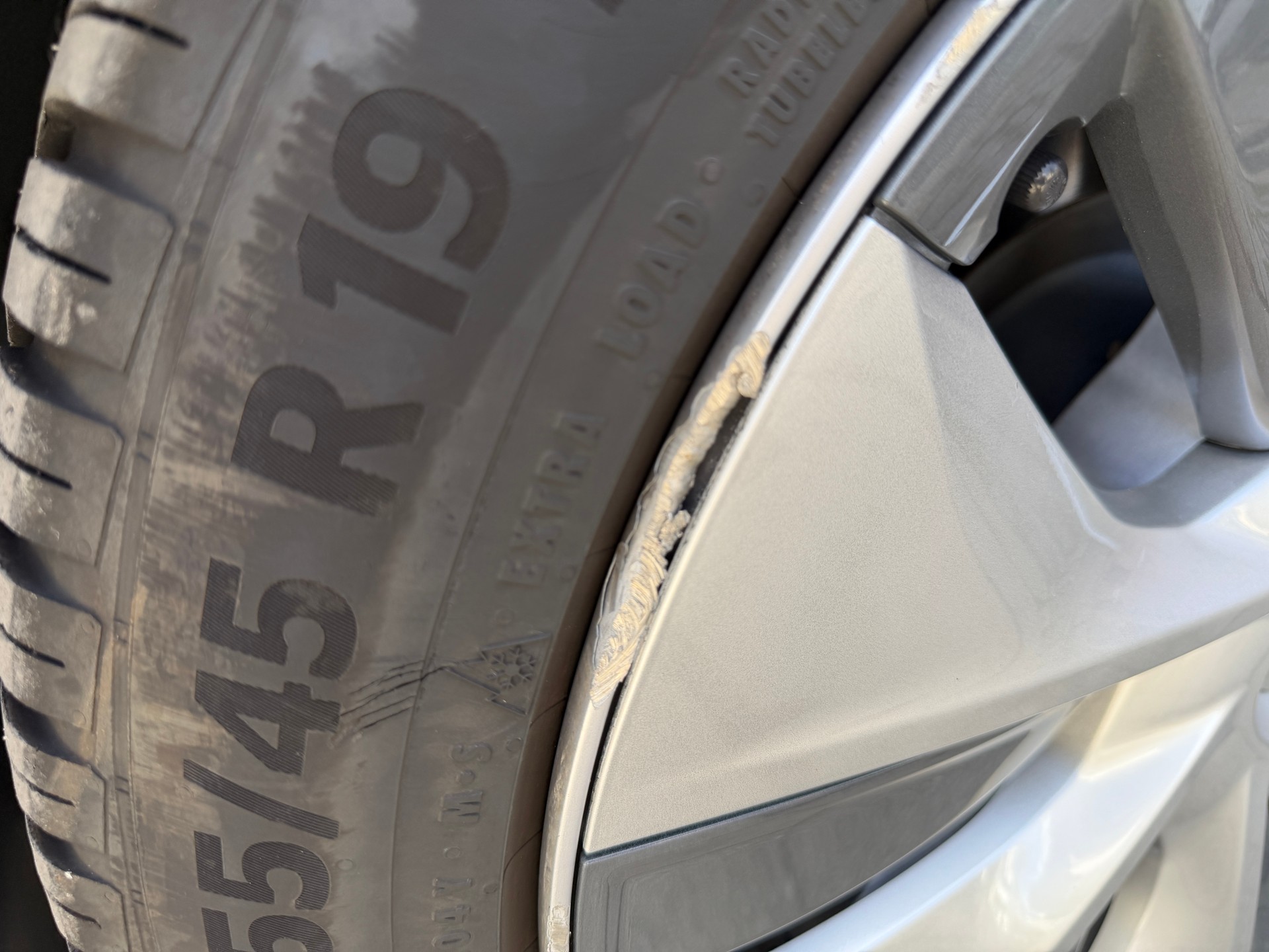 TESLA Basis-image-7