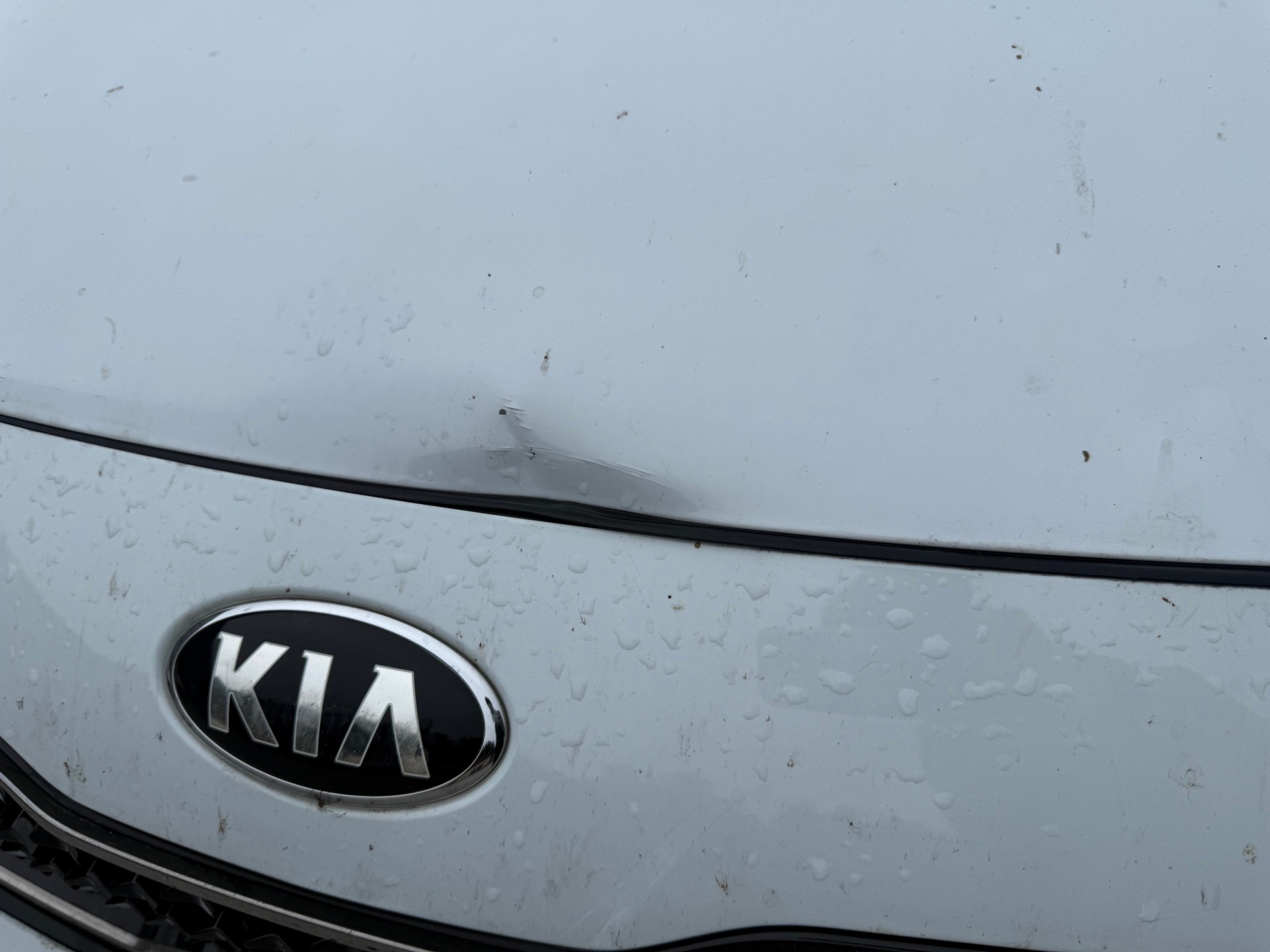 KIA Sportage 1.6 T-GDi Swiss City Line 4WD Automat-image-7