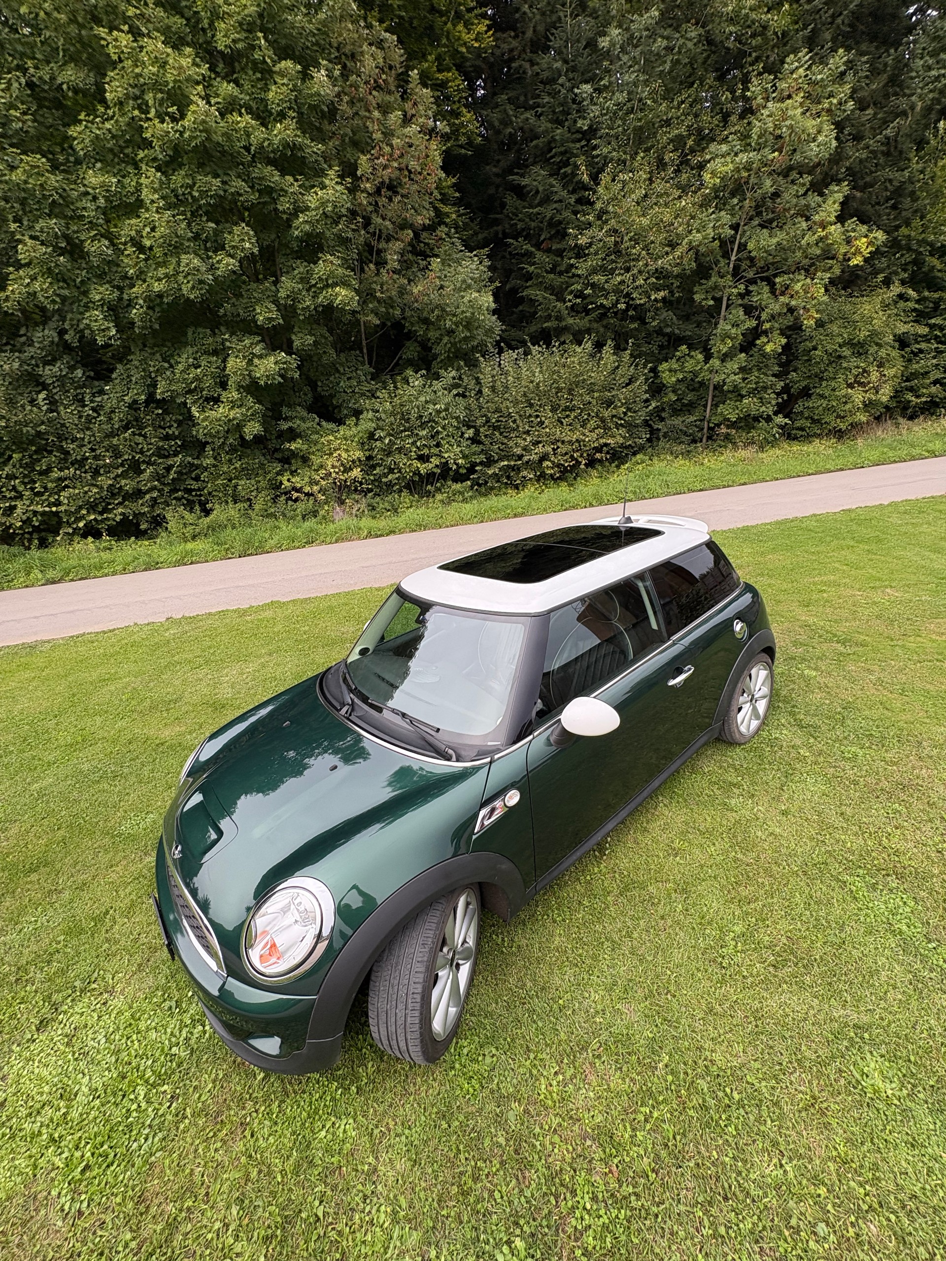 MINI Mini Cooper S Turbo | British Racing Green | Chili | Leder | Xenon | Pano-image-18