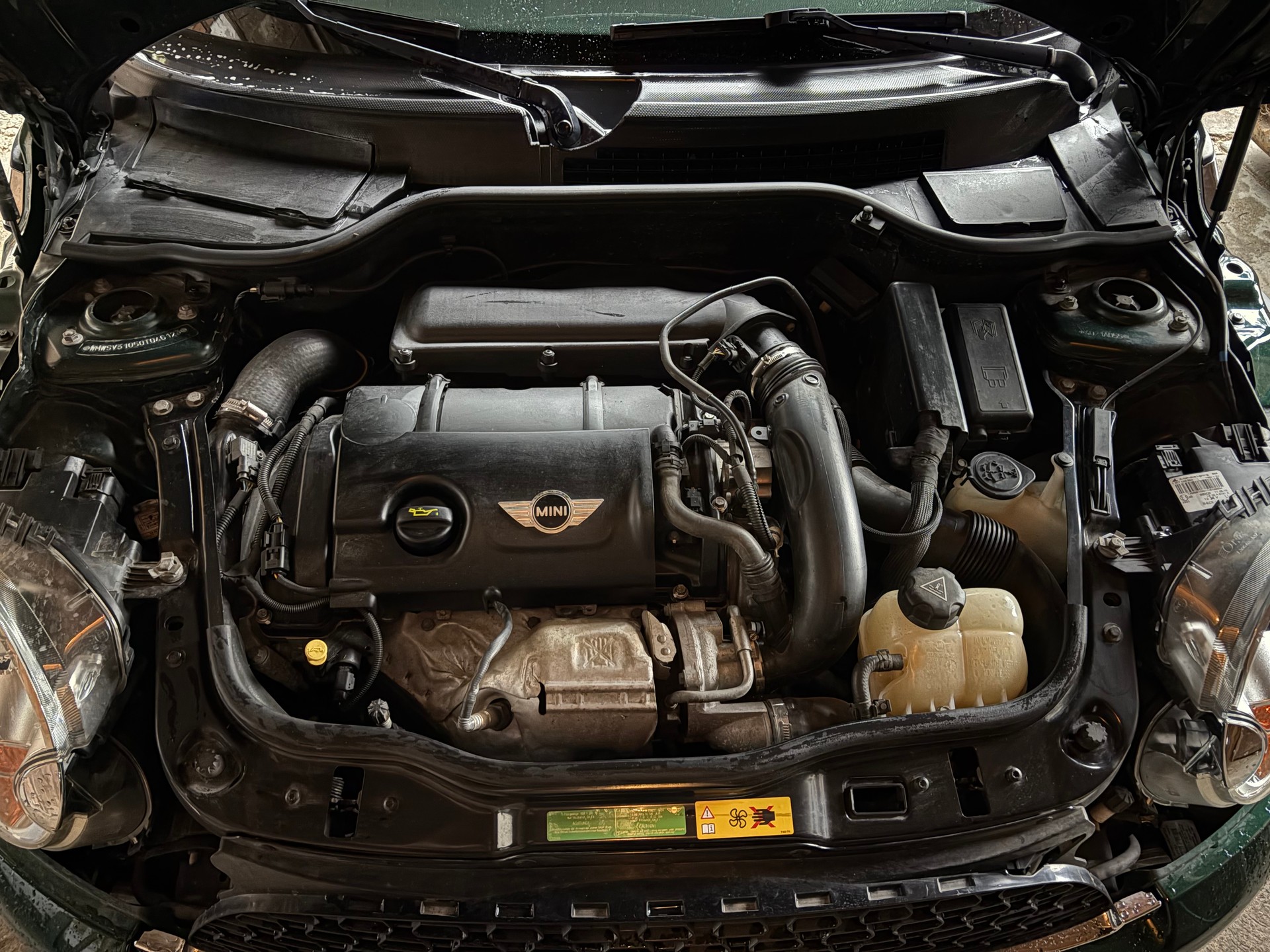 MINI Mini Cooper S Turbo | British Racing Green | Chili | Leder | Xenon | Pano-image-8