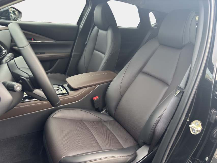 MAZDA CX-30 2.0/186 Takumi Sunr-image-9