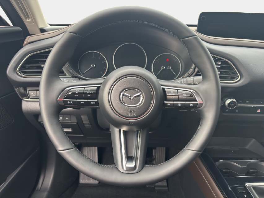 MAZDA CX-30 2.0/186 Takumi Sunr-image-12