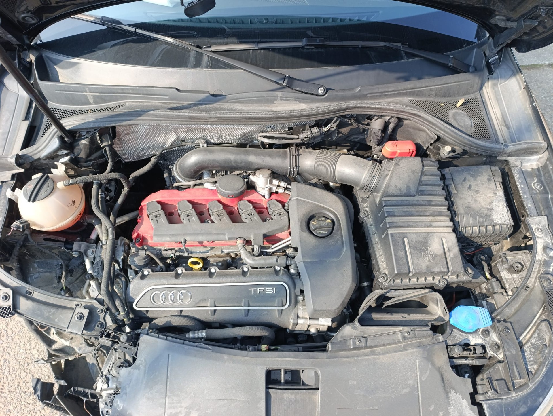 AUDI RS Q3 2.5 TFSI performance quattro S-tronic-image-4