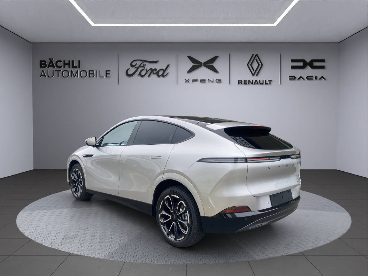 XPENG G6 Performance AWD-image-9