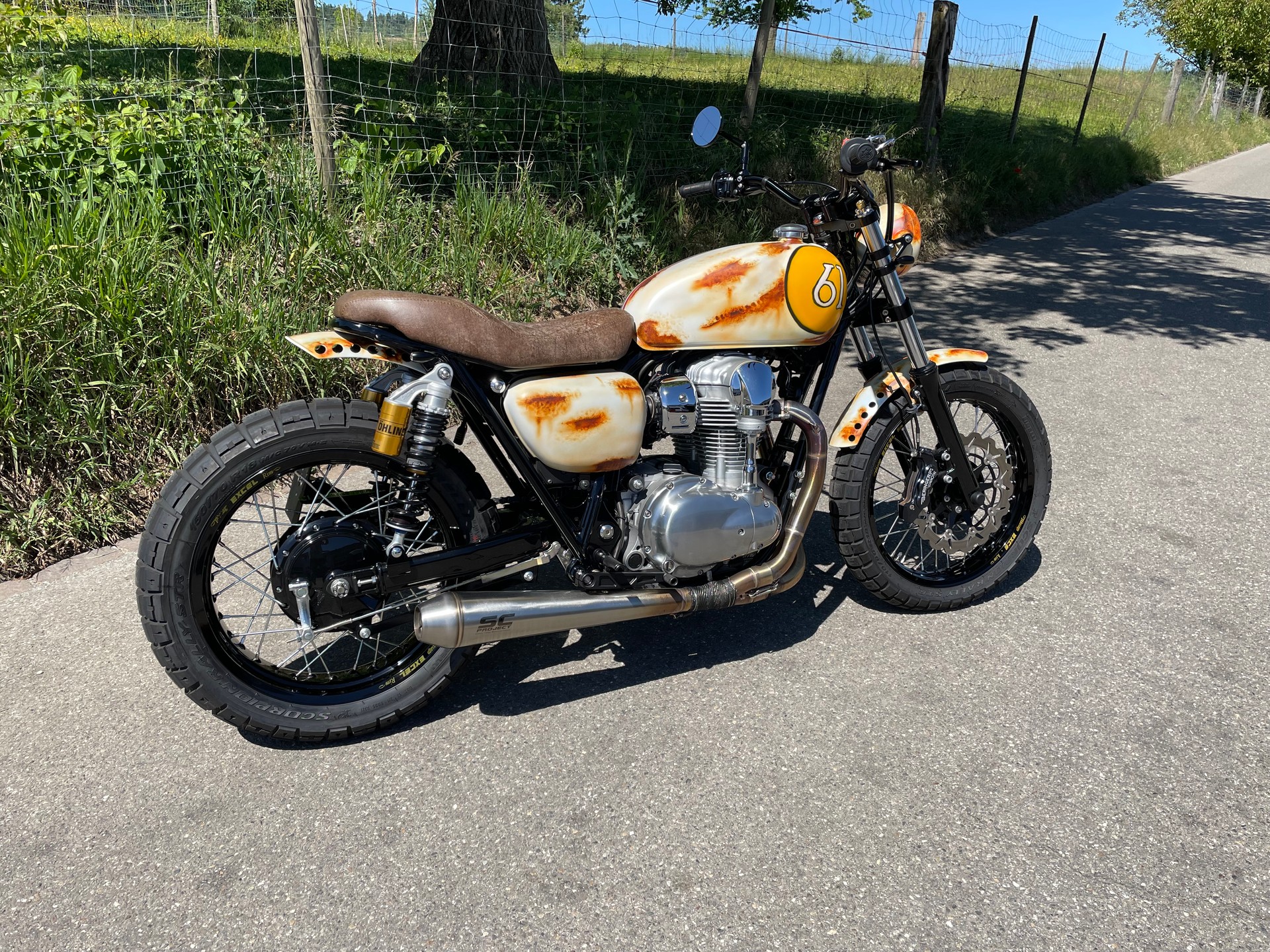 KAWASAKI W 800 Scrambler-image-2