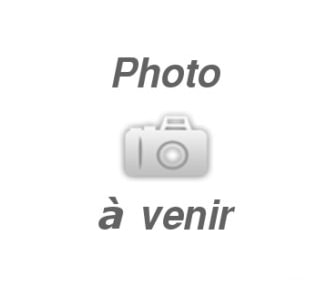 RENAULT Clio 0.9 12V Swiss Edition-image-5