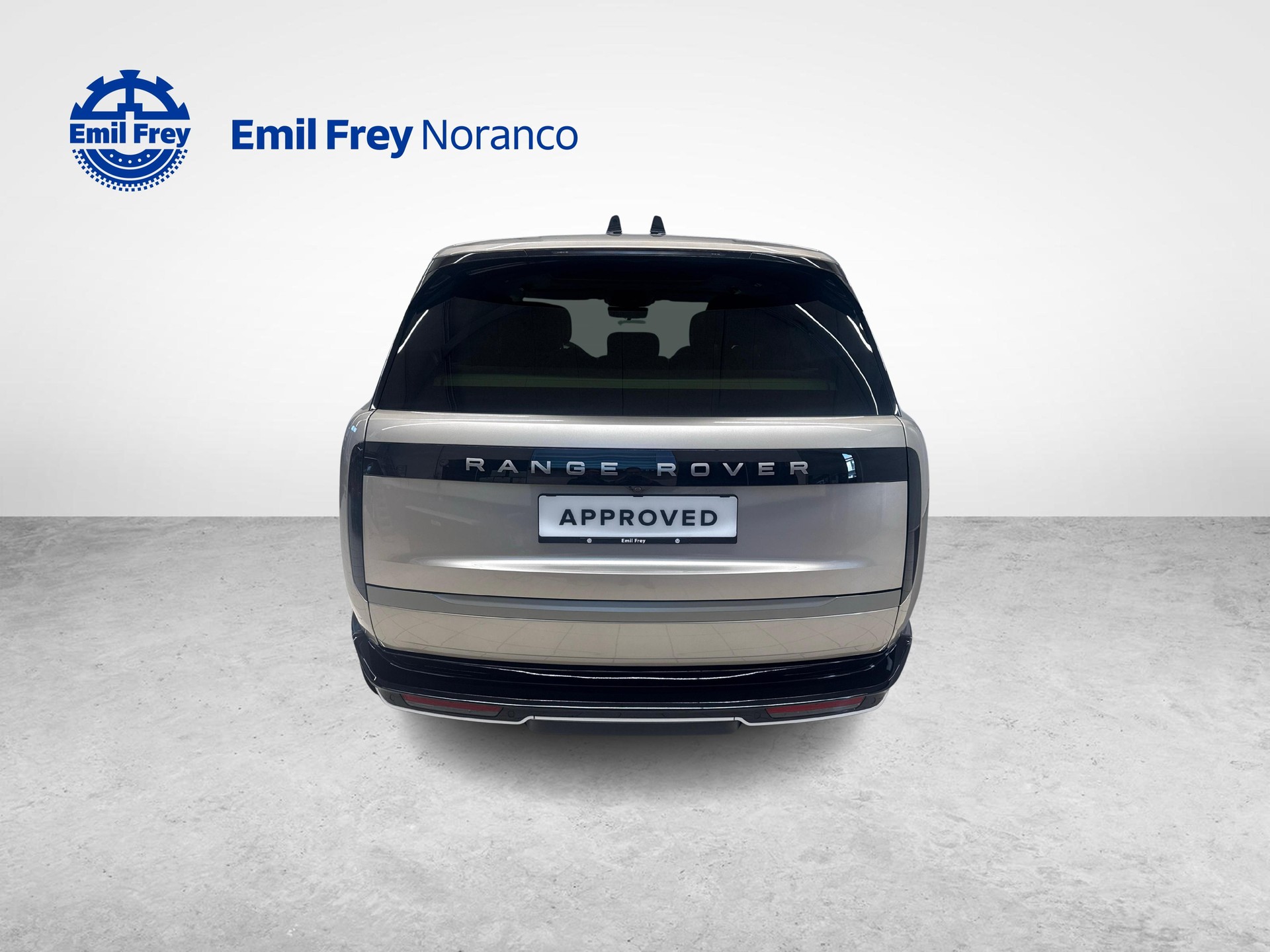 LAND ROVER Range Rover 3.0 D I6 350 HSE - Ruote invernali da 22" incluse-image-3