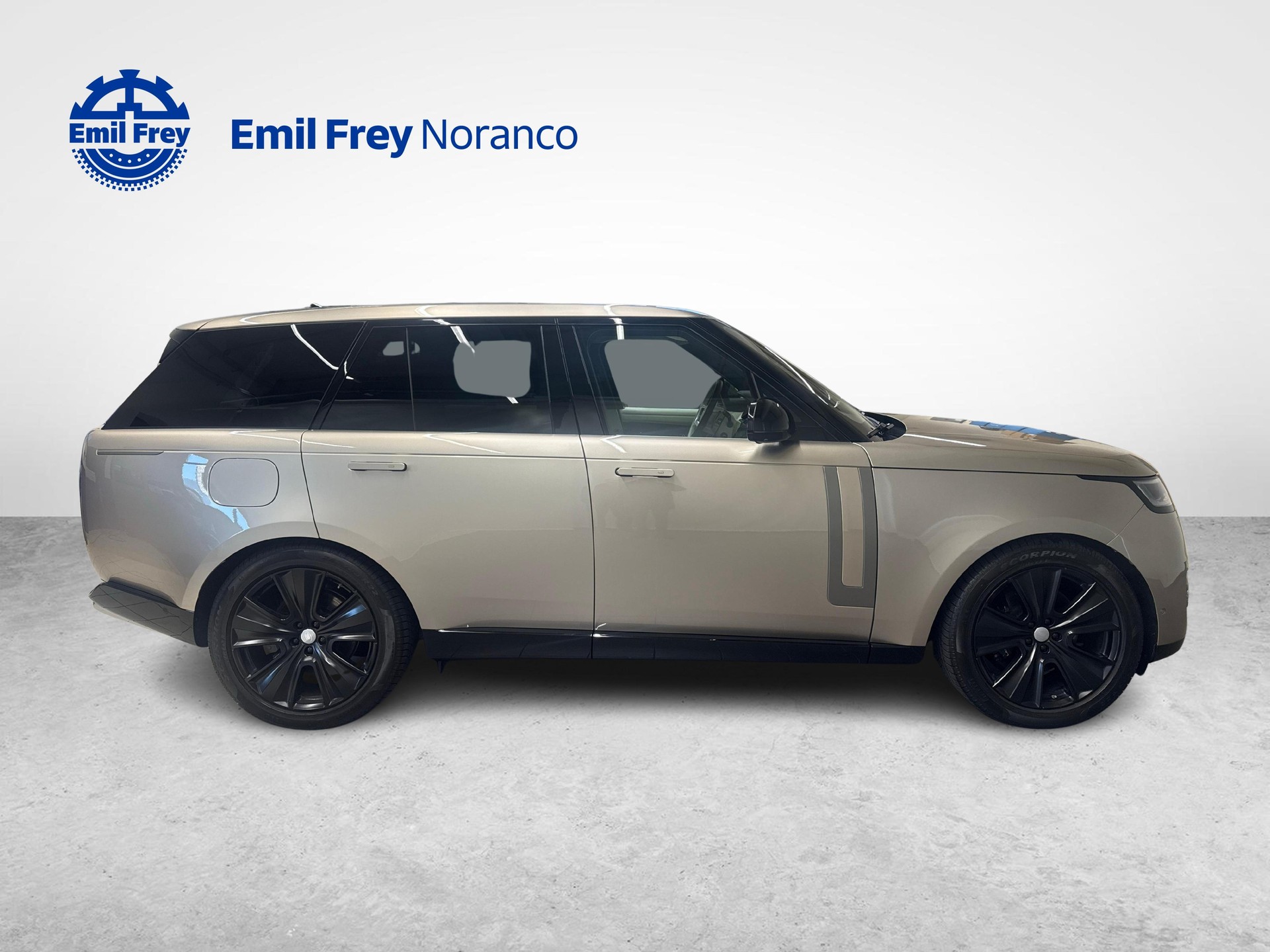 LAND ROVER Range Rover 3.0 D I6 350 HSE - Ruote invernali da 22" incluse-image-5