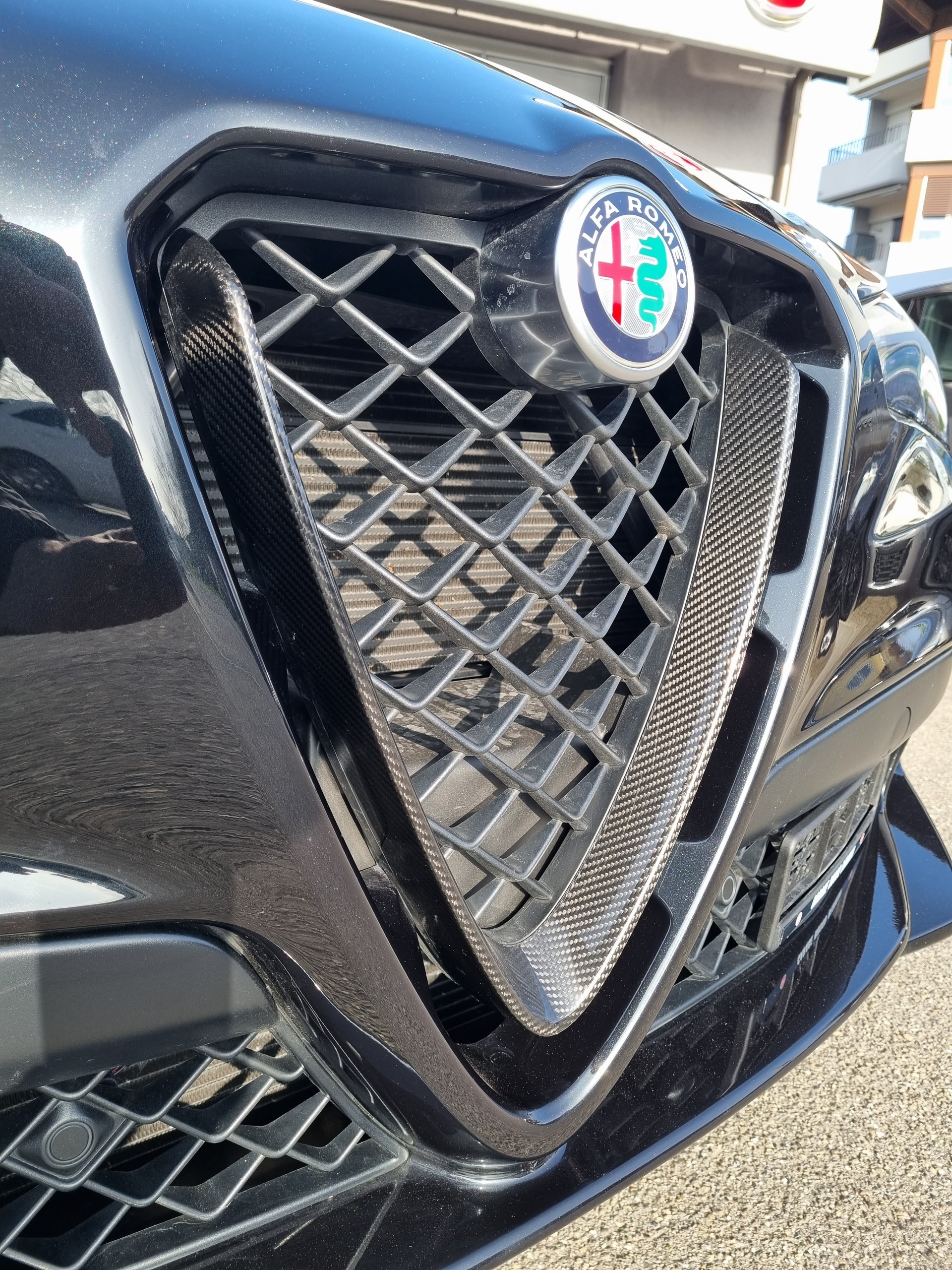 ALFA ROMEO Stelvio 2.9 V6 Quadrifoglio Q4 Automatic-image-23